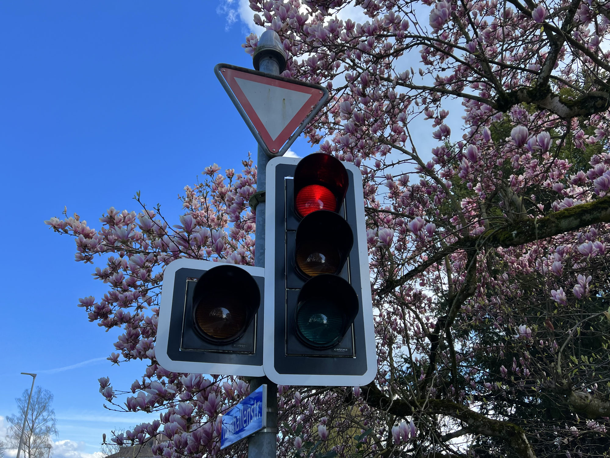 Öffentliche Mitwirkung Sanierung Ringstrasse