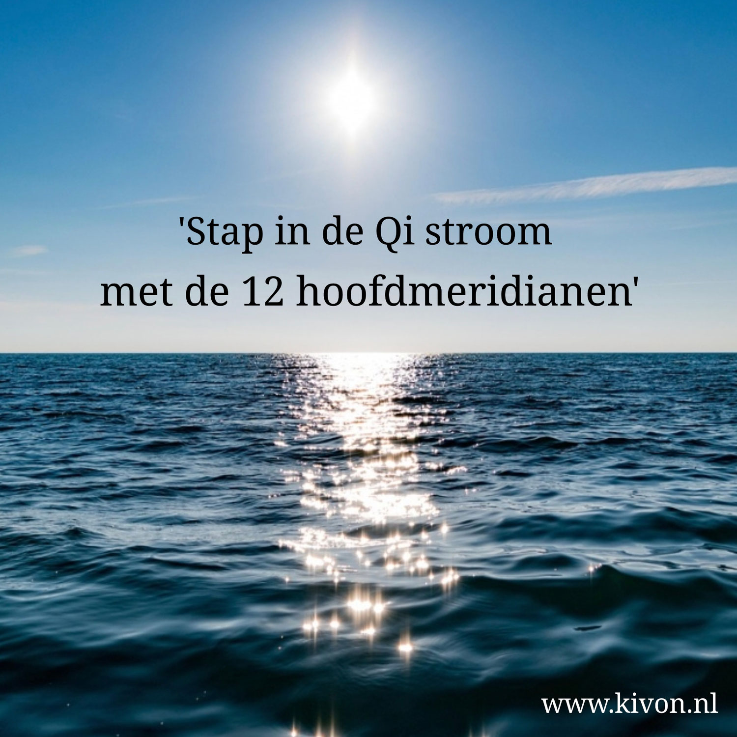 De 12 hoofdmeridianen