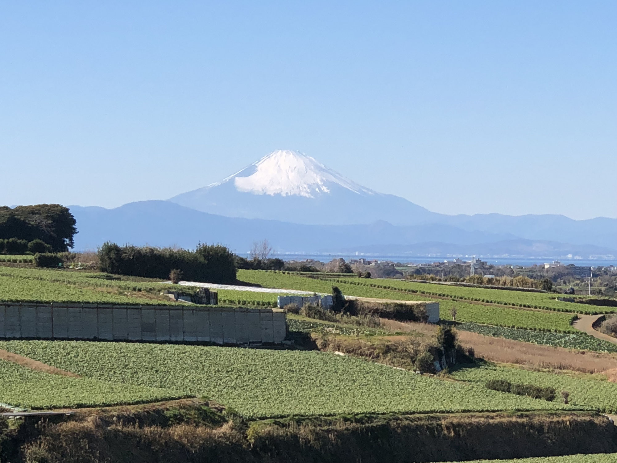 素敵な時間 洗足薬膳お料理教室 素敵な時間 洗足薬膳お料理教室