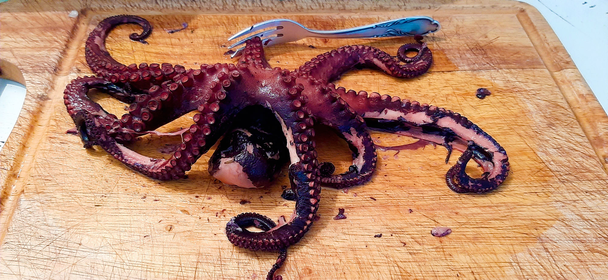in Griechenland ein MUSS : OKTOPUS !
