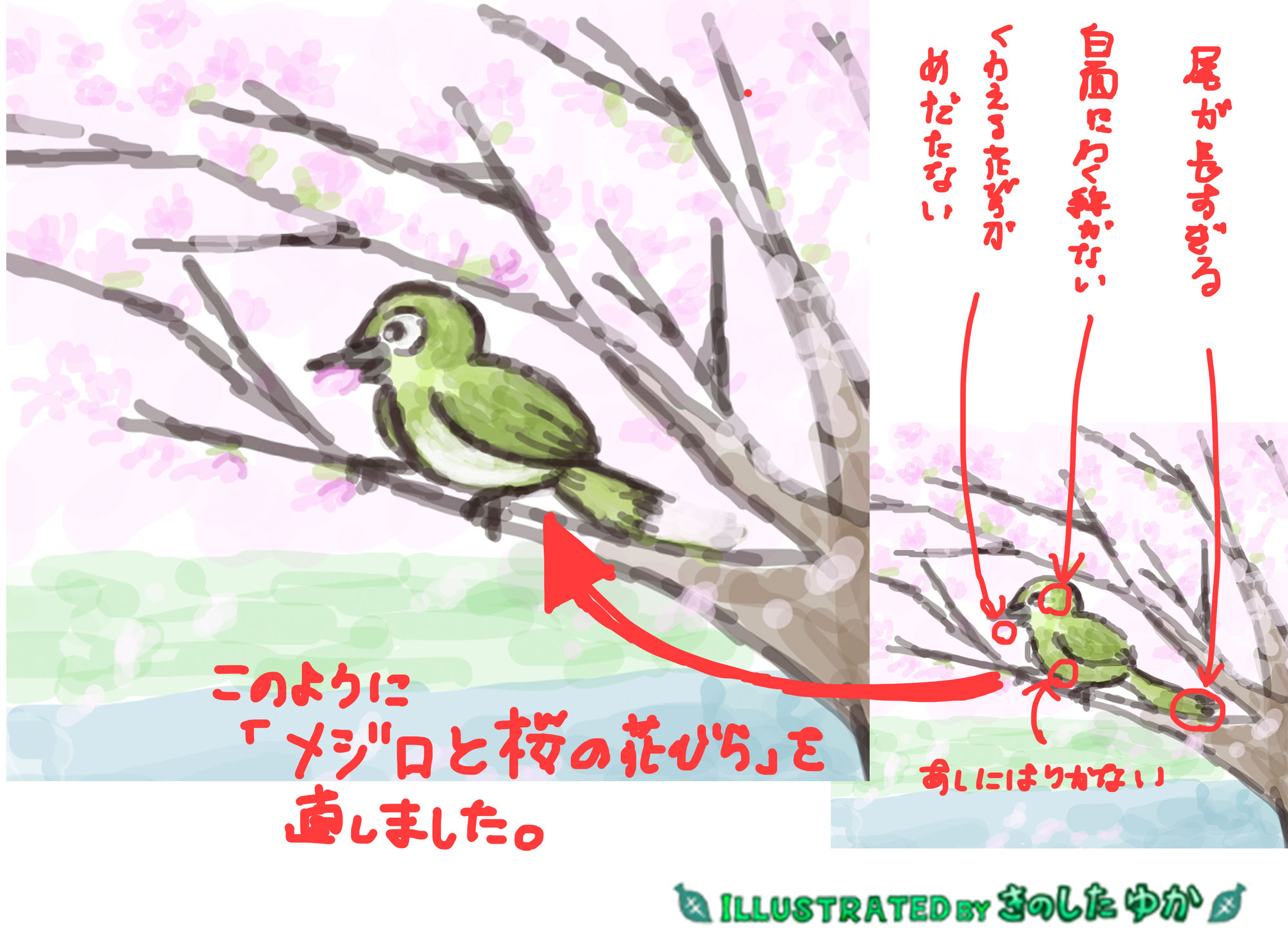 （続）【手描きイラスト・ノウハウ】 気になって〜メジロと桜の花びら〜はこう直しました♪