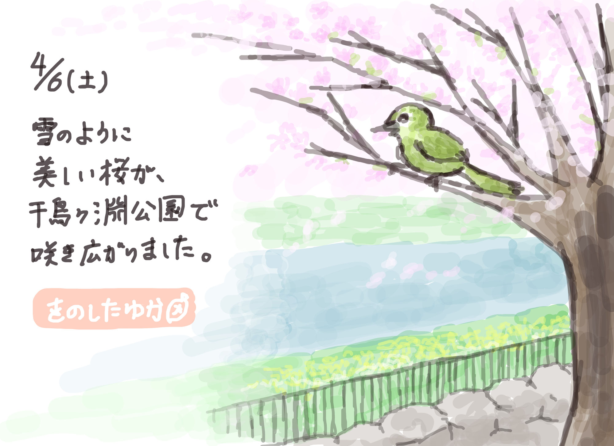 【手描きイラスト・ノウハウ】お花見の絵はがき風イラストはこうしてできます♪〜桜とメジロ〜