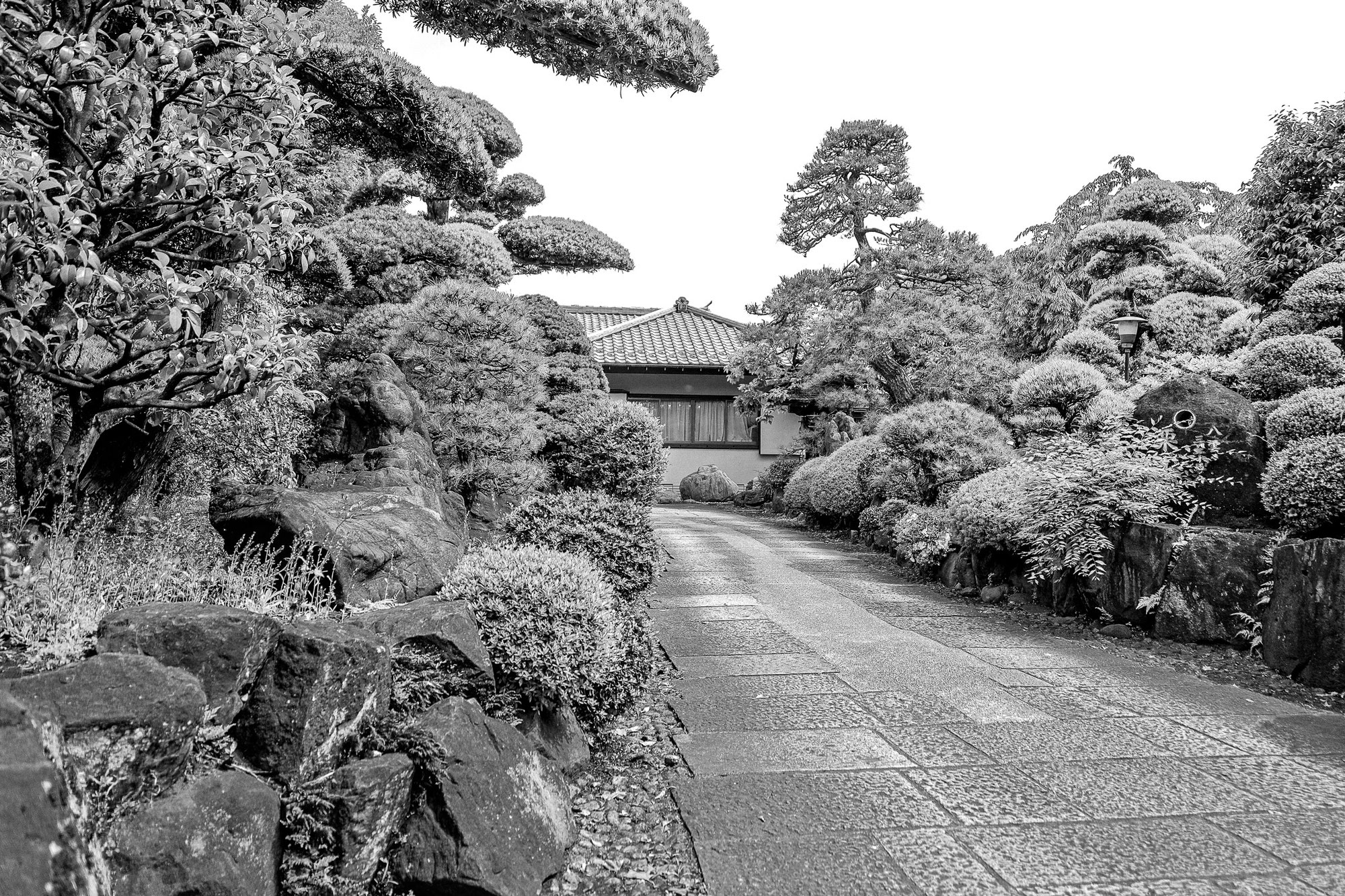 失ったものは大きいが、いつまでも帰にしていられない
