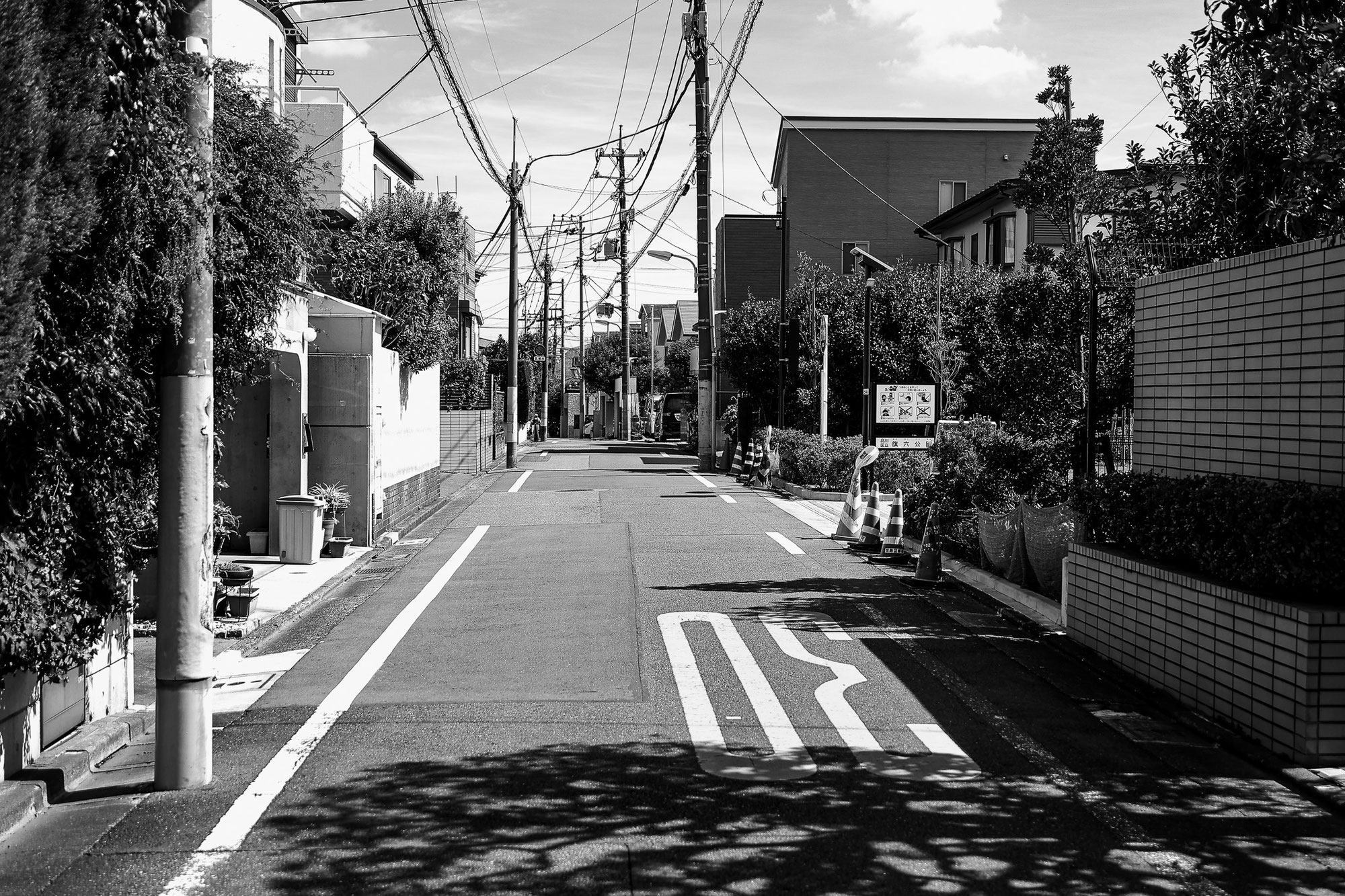 希望・現実・動き出す