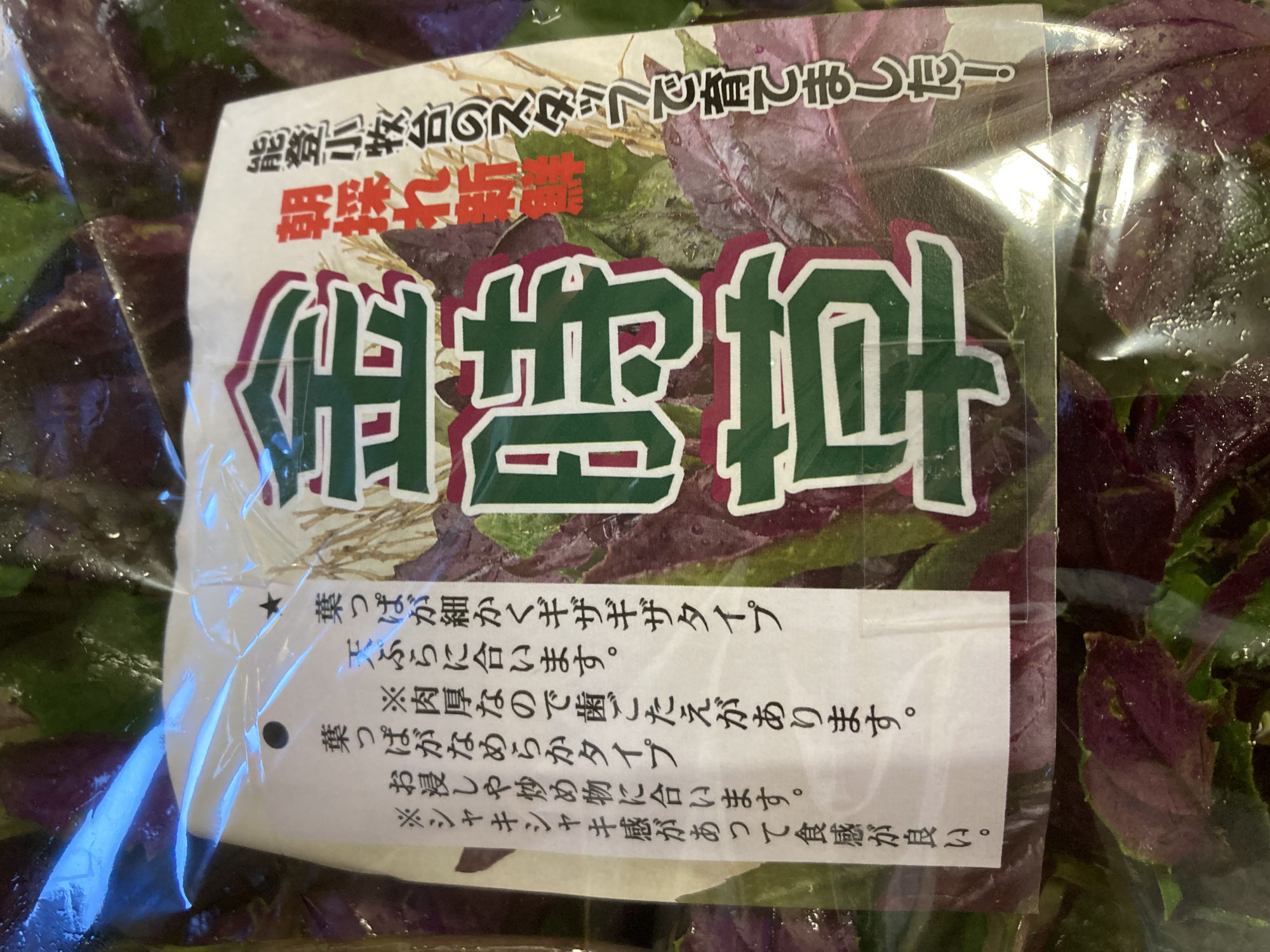金時草販売開始♪