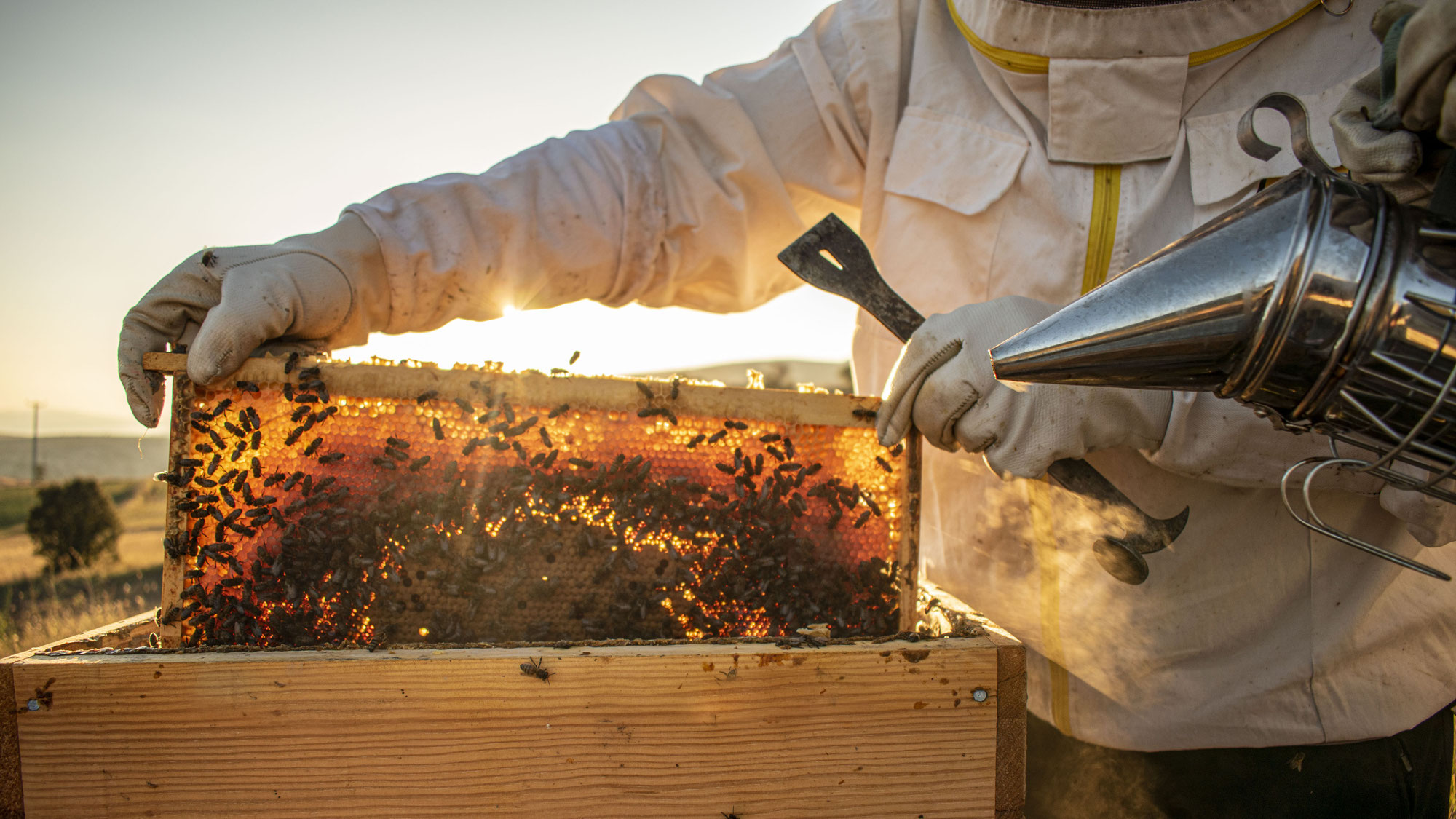 Wie Sie einen guten Text aufbauen