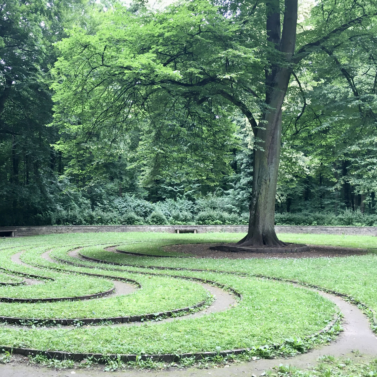 Geomantie in der Landschaft spüren
