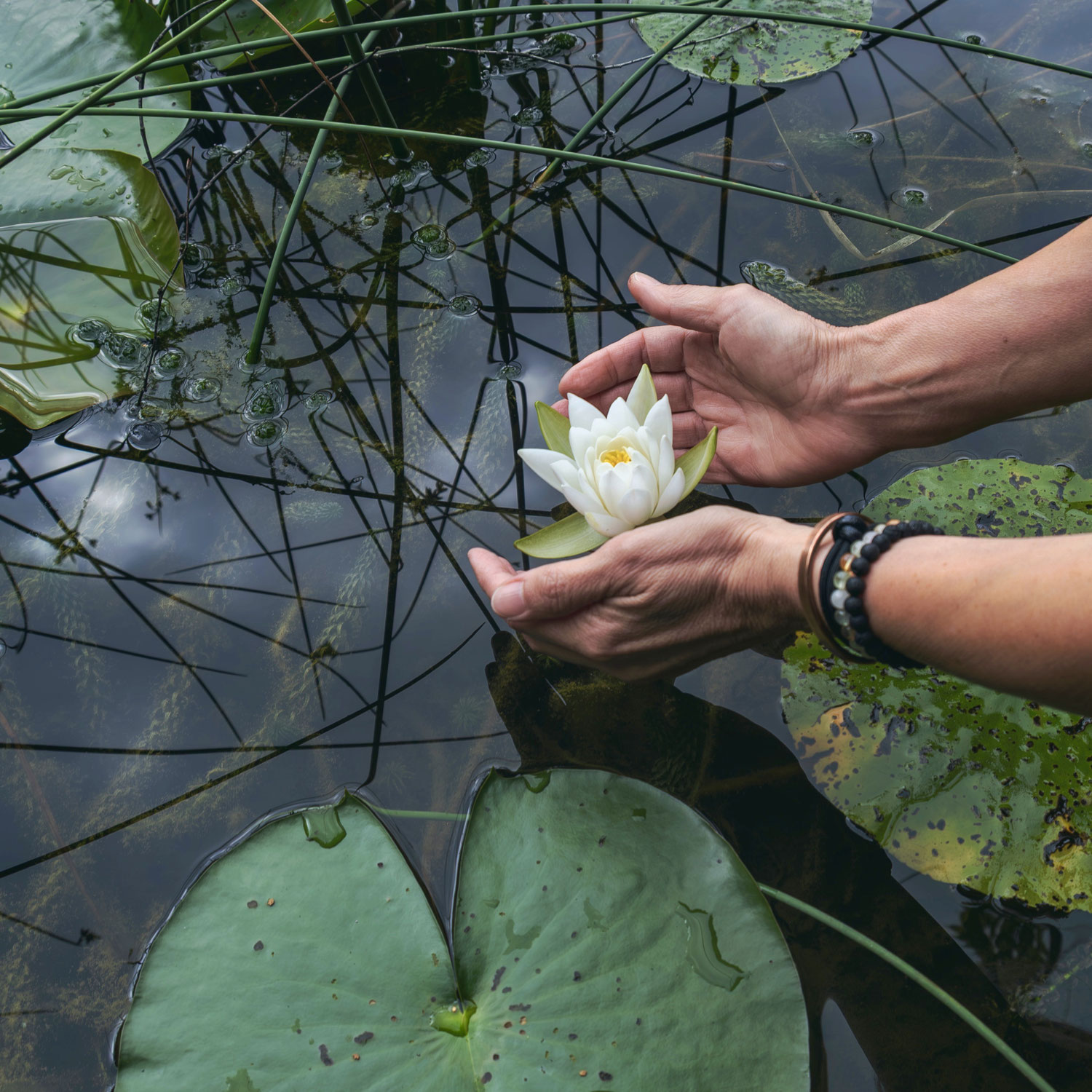 Reiki – stille Berührung, die viel bewegt