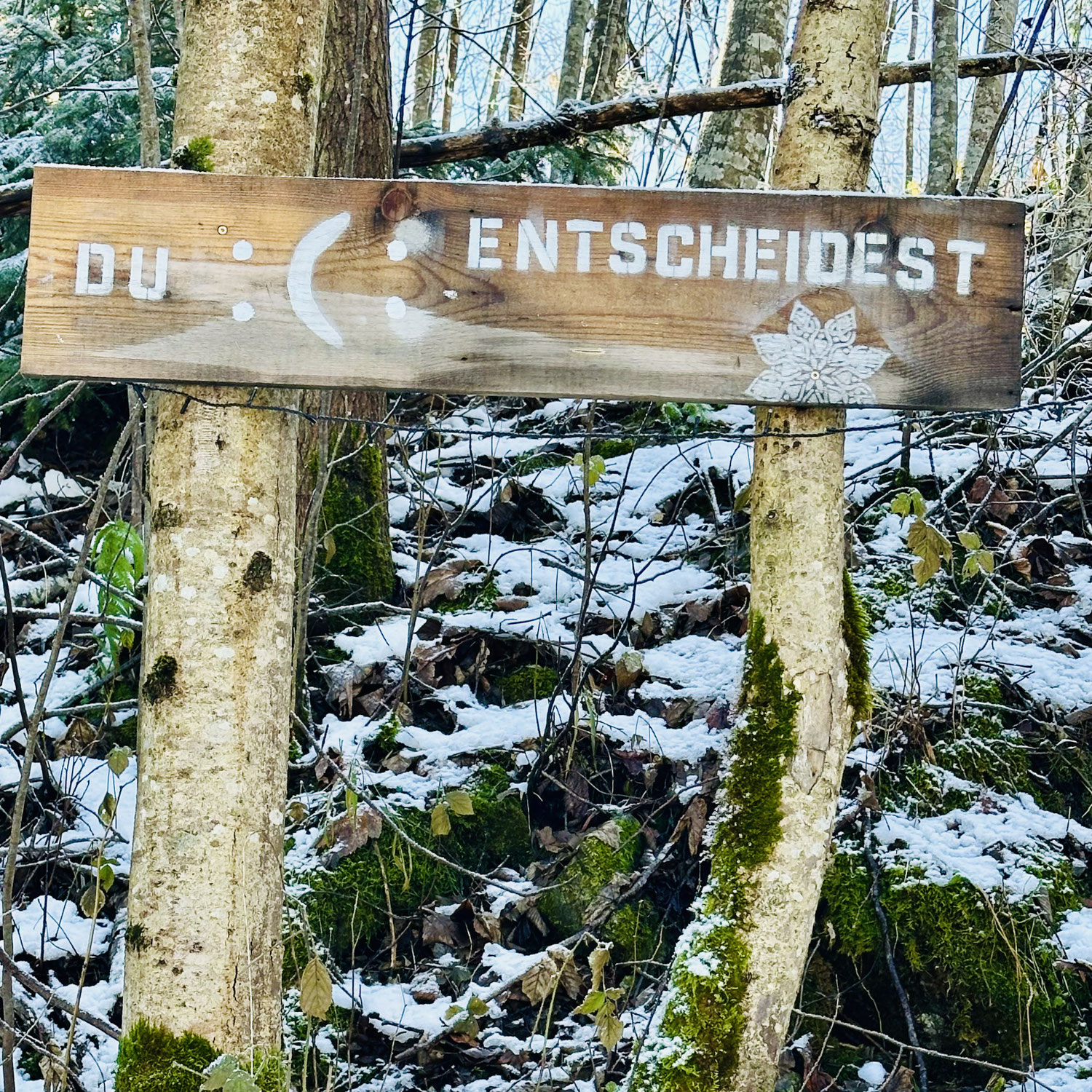 Ein bewusster Schritt ins neue Jahr