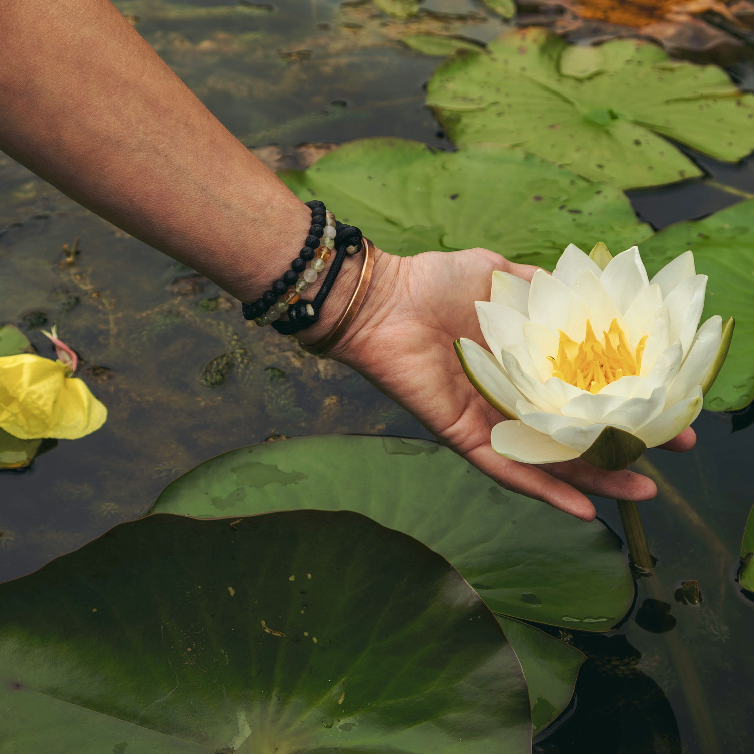 Raum für dich – Reiki im Alltag