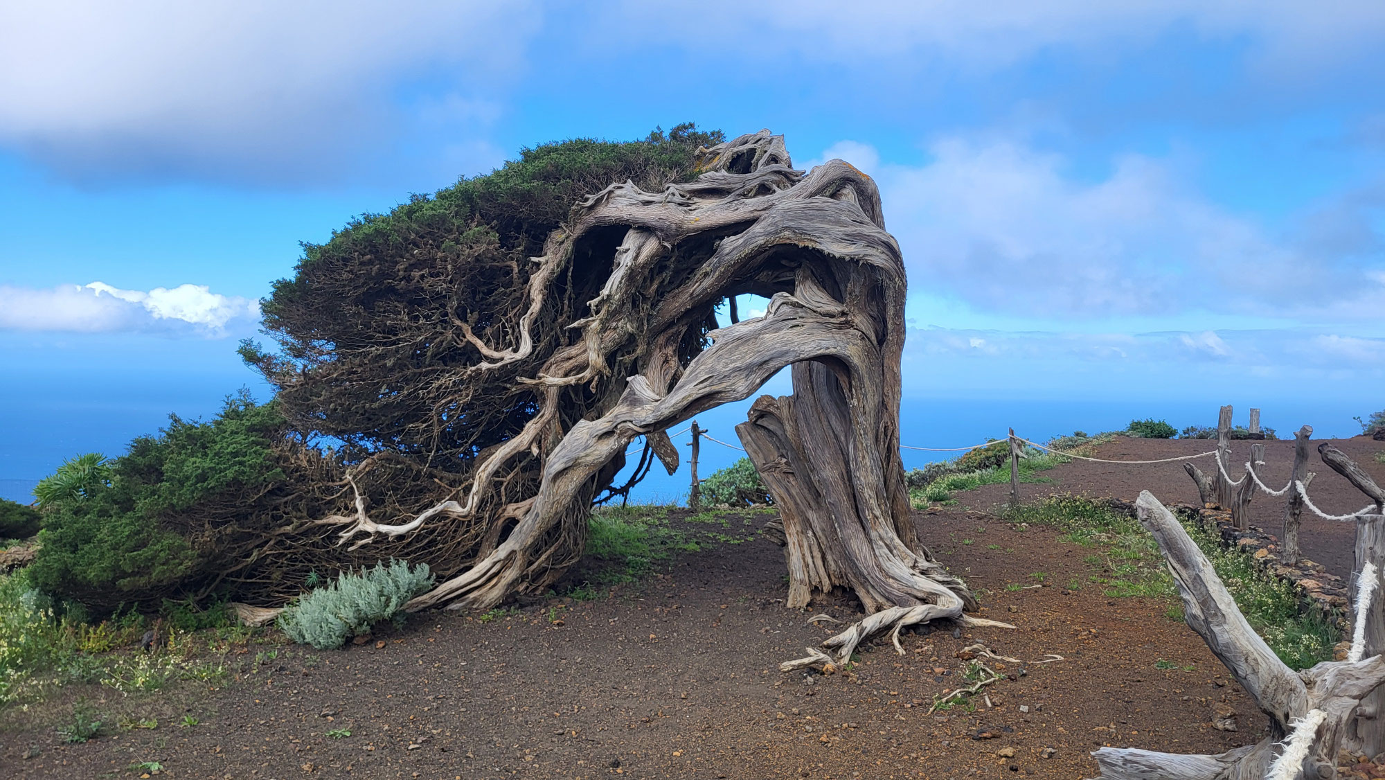 One week El Hierro 2025