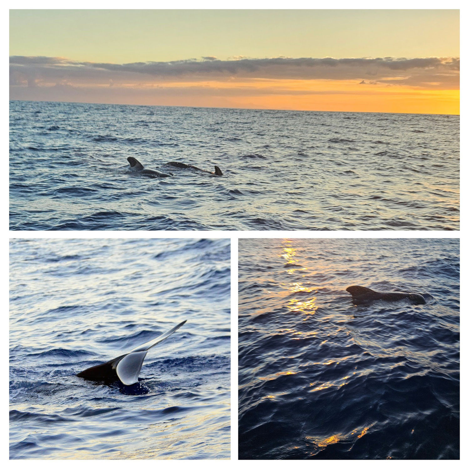 Sonnenaufgangstour 24.10.2025