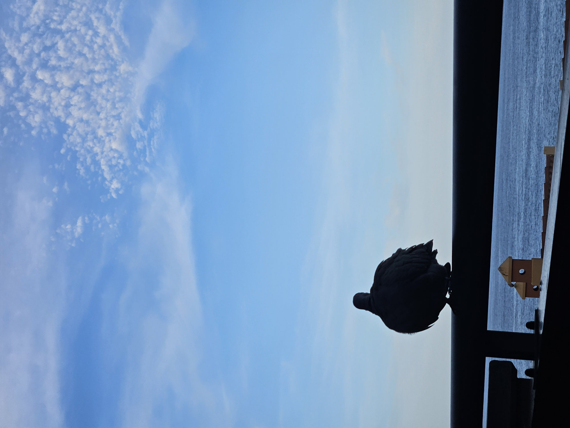 Reise La Gomera Okt./Nov. 2025