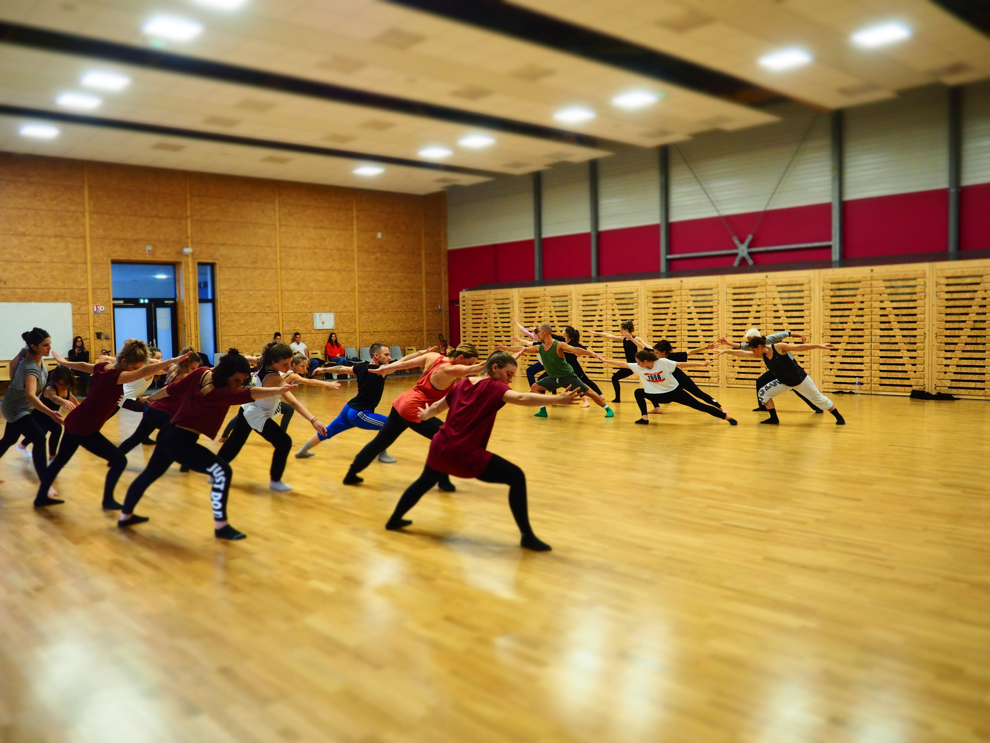 Danse Variations Ligné