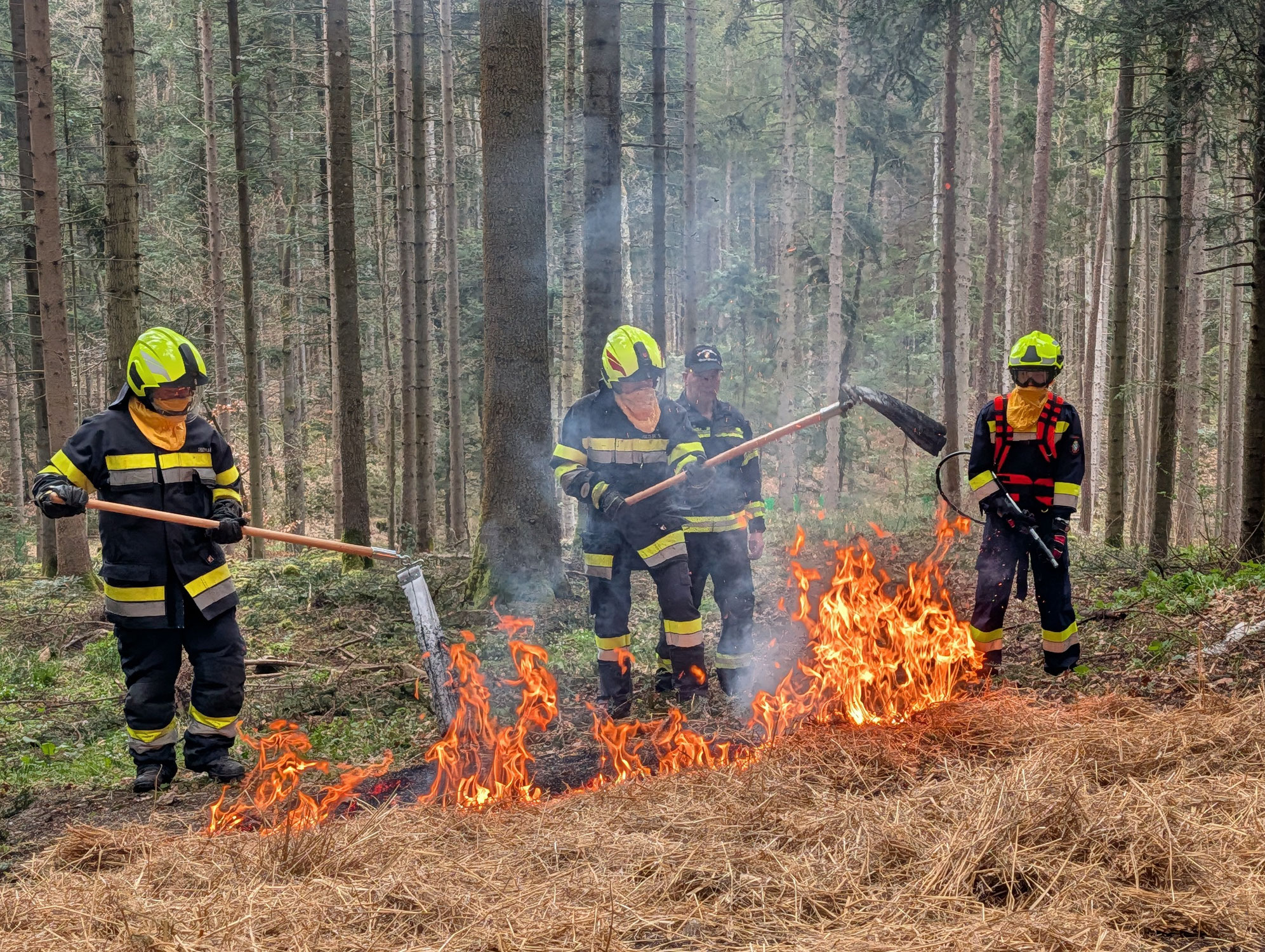 Waldbrand-Basisausbildung
