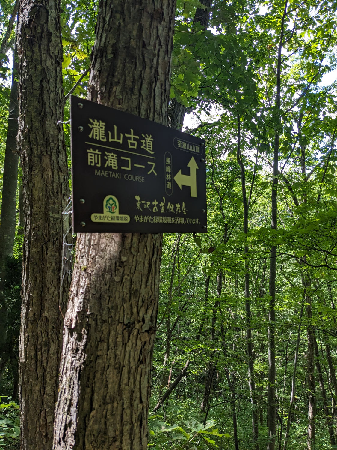 龍山で道迷い　