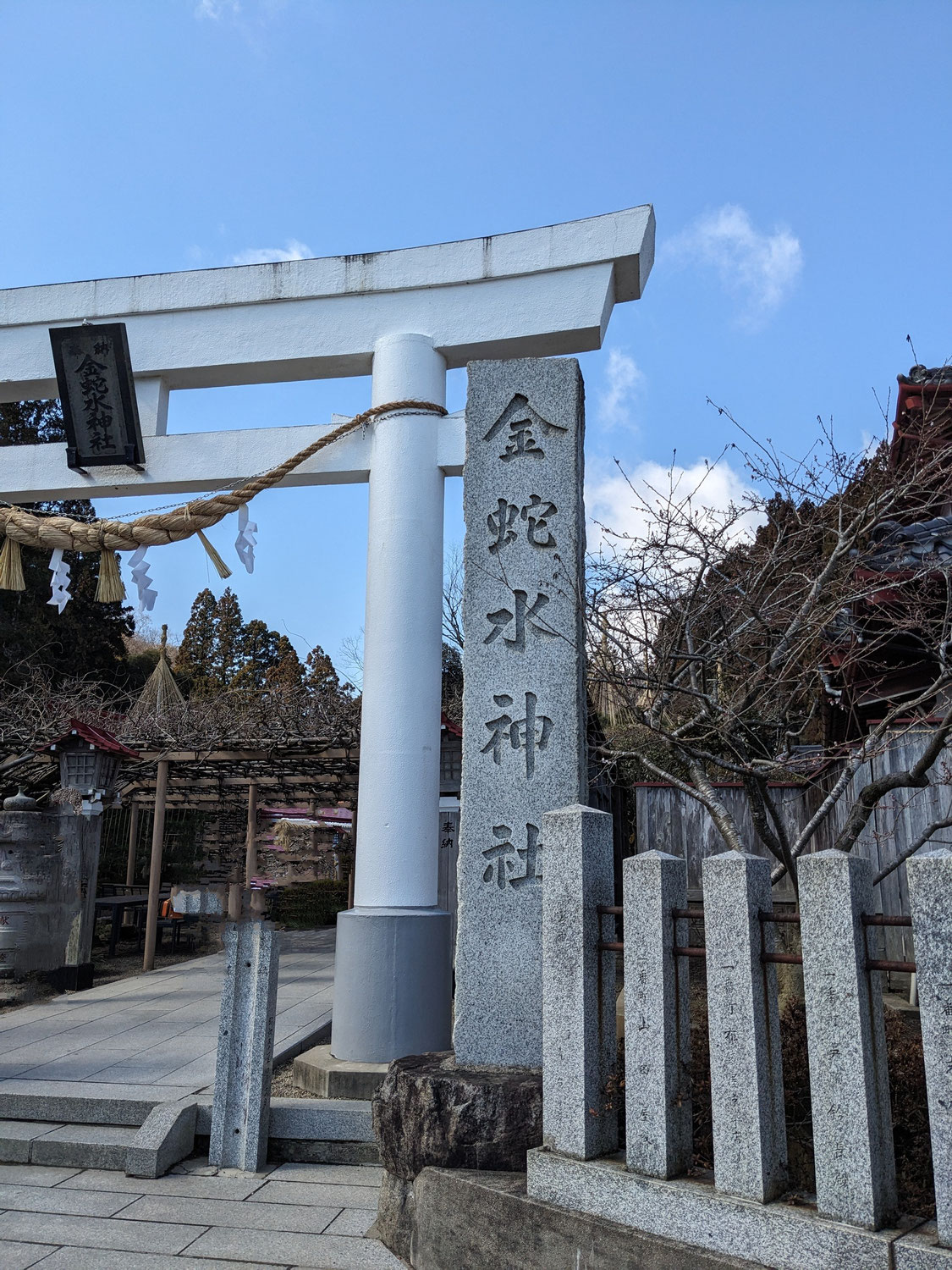 今年は巳年御縁年