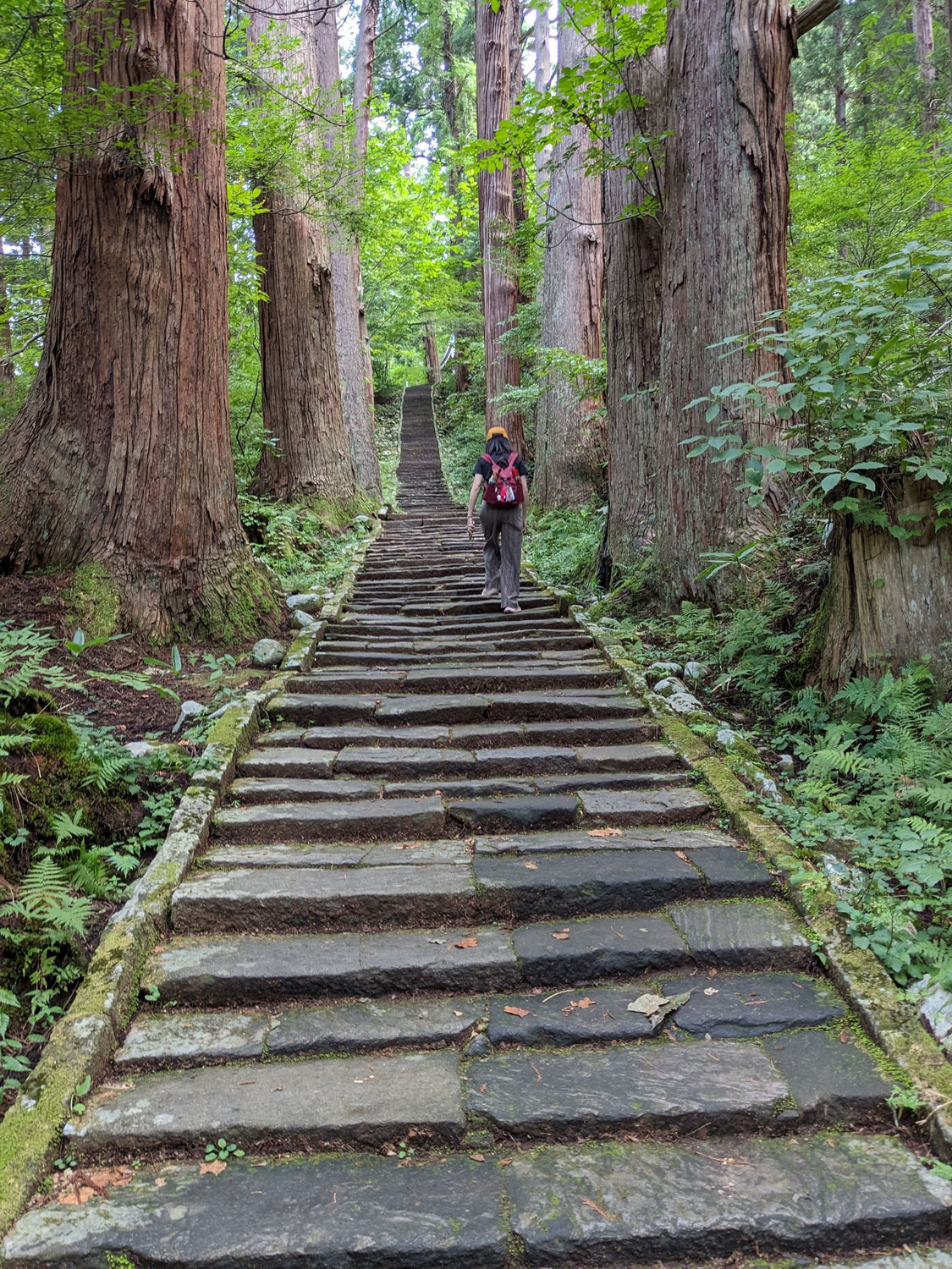 石段を登り羽黒山へ