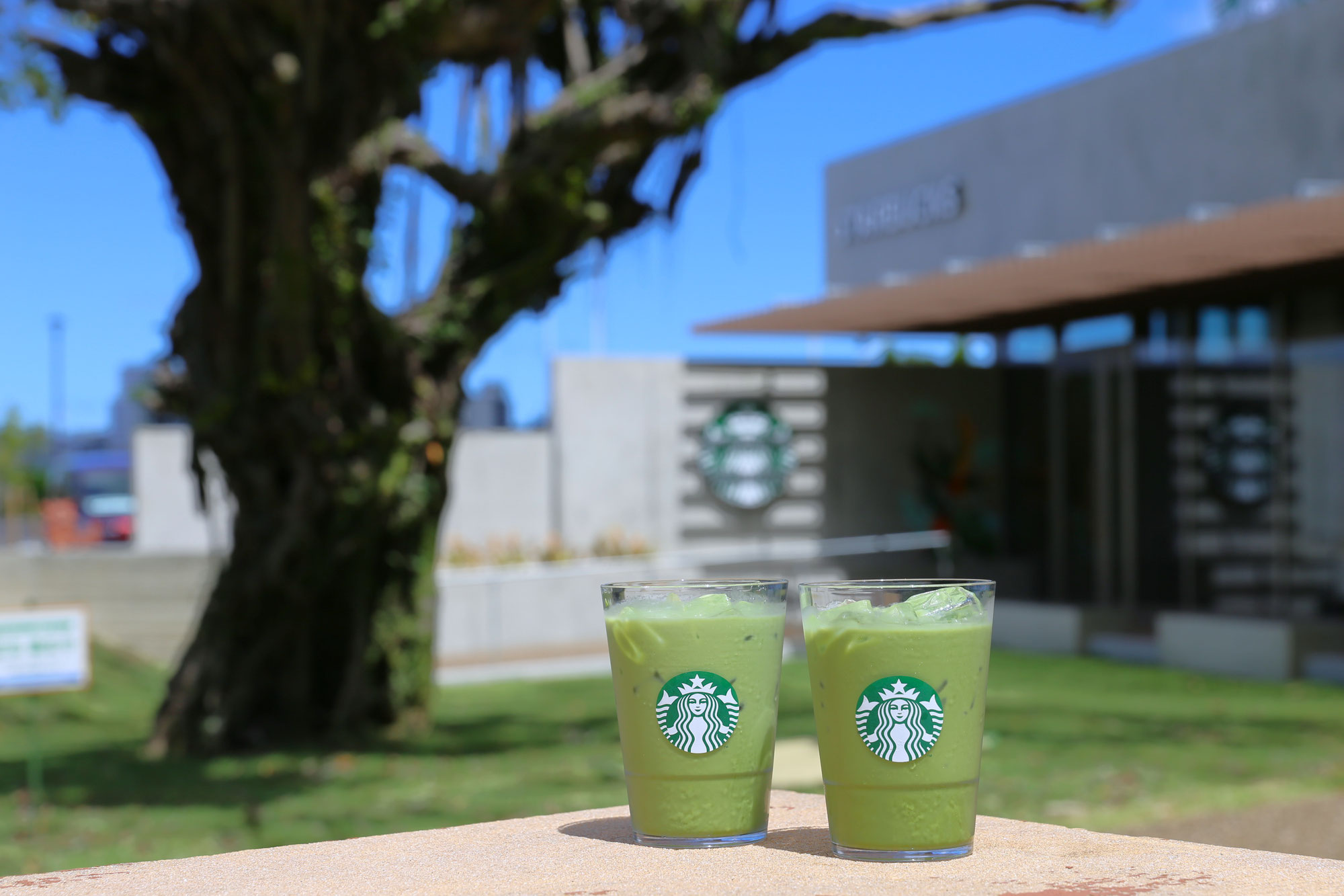 【スタバ新店舗】漫湖公園に9月1日オープン「スターバックスコーヒー那覇鏡原店」沖縄県内初の公園内店舗