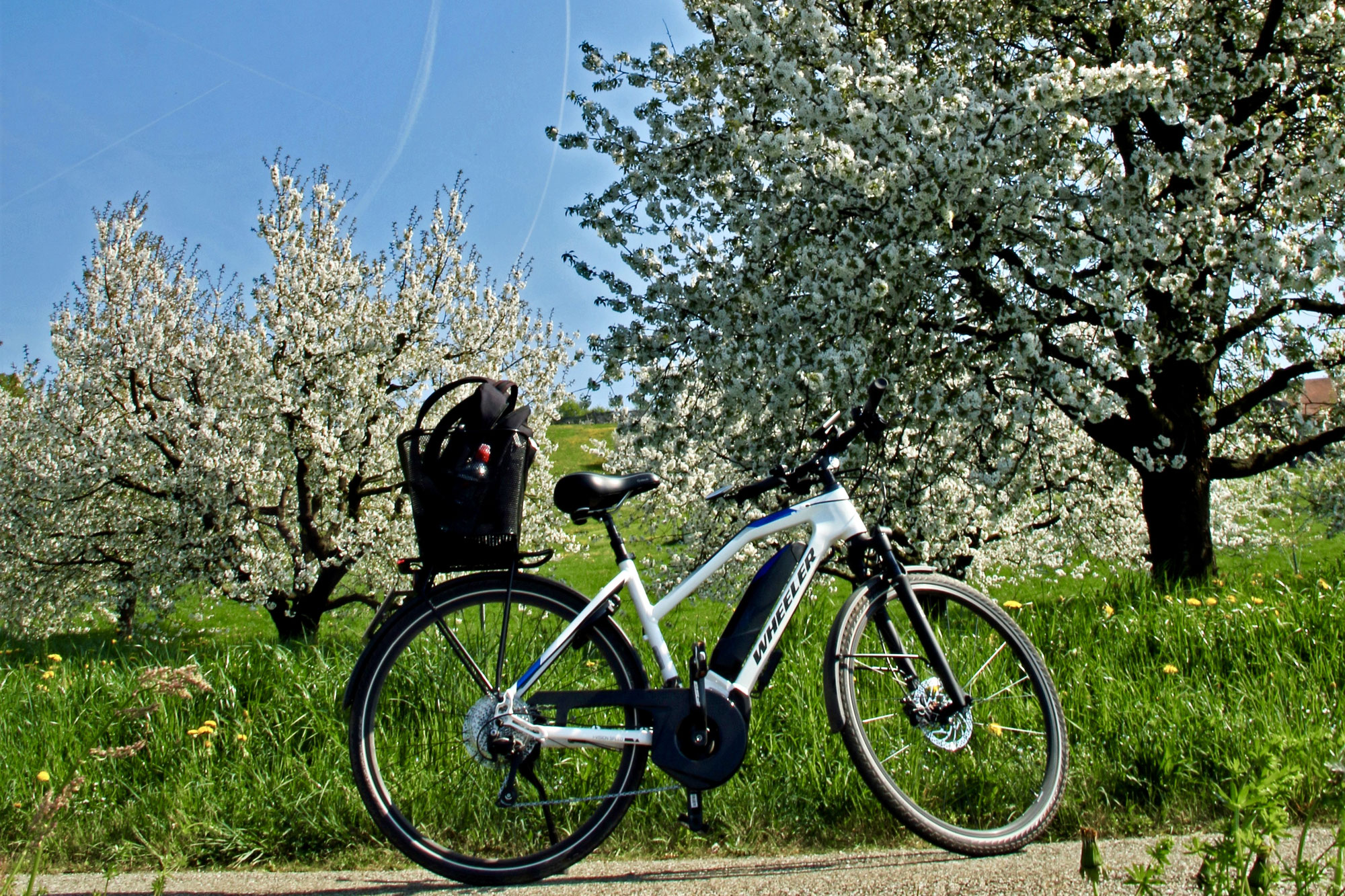 E-Bike