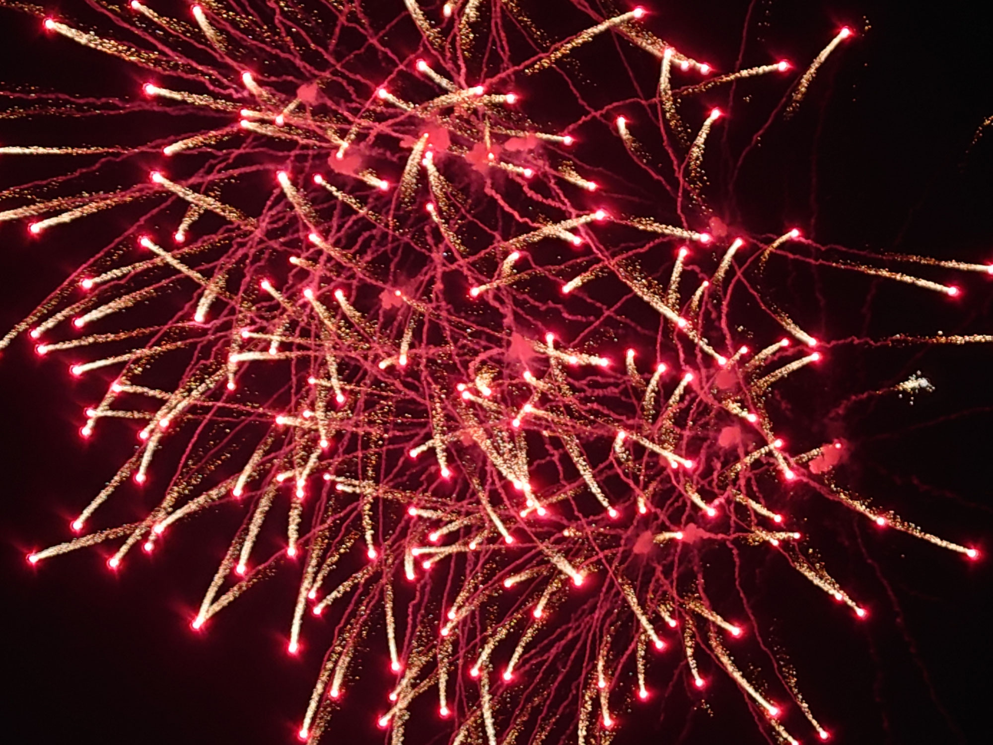 今年も花火大会に参加しました