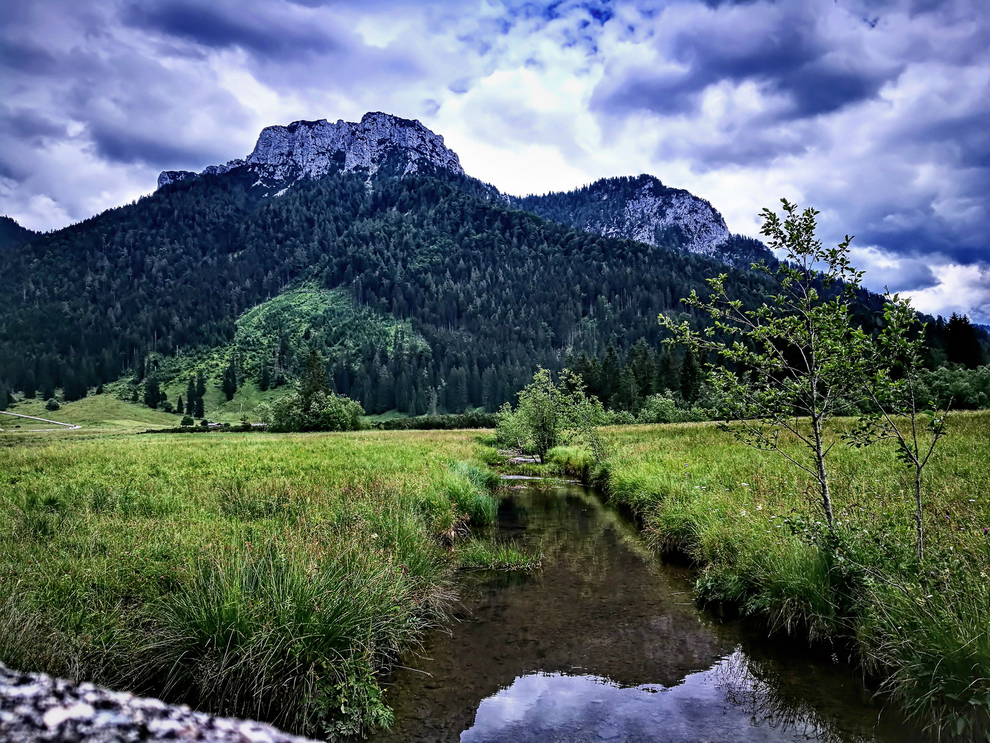 Mit den Kindern auf der Röthelmoosalm