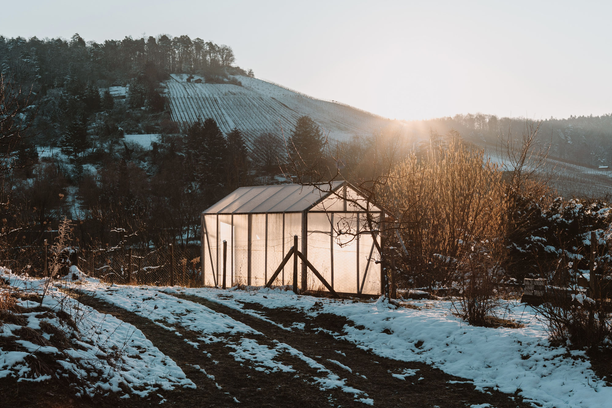 Praxisbericht: Tamron 35mm f/2.8 Di III OSD – Leichtgewicht für unterwegs