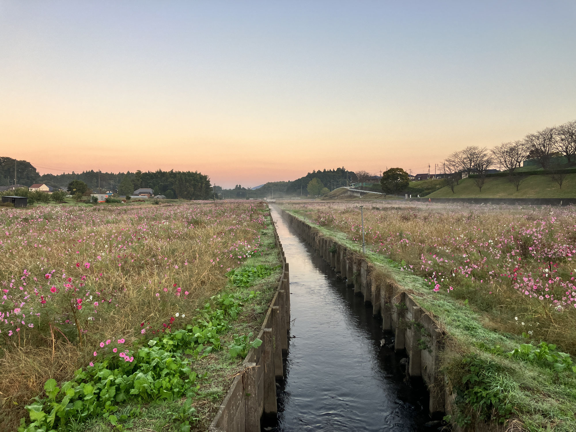 小美玉市中台　希望ヶ丘公園