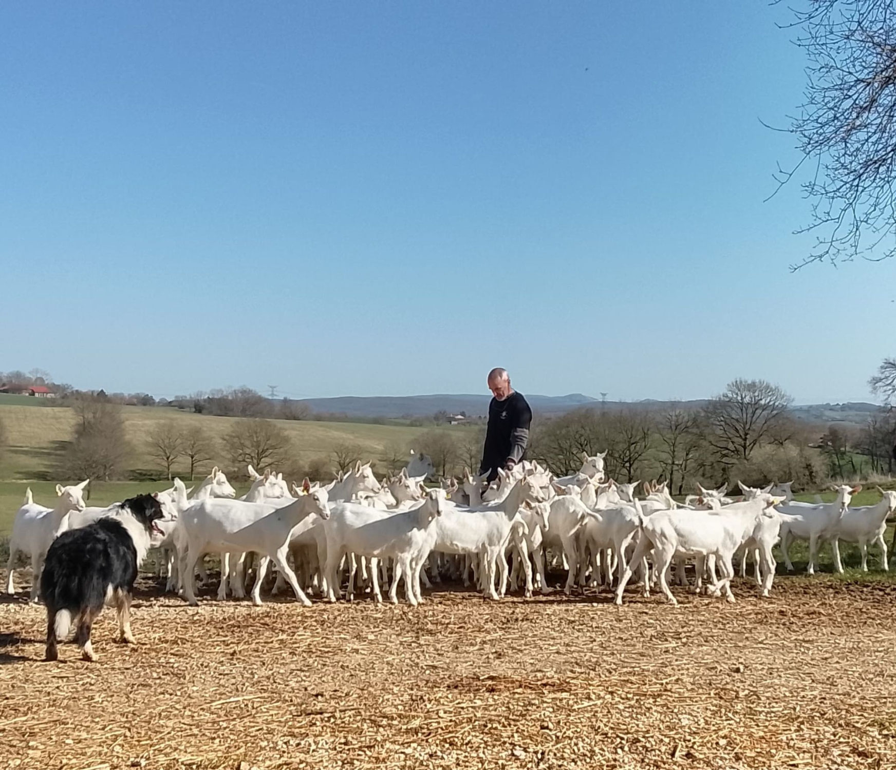 Une nouvelle étape à la ferme des Hounts