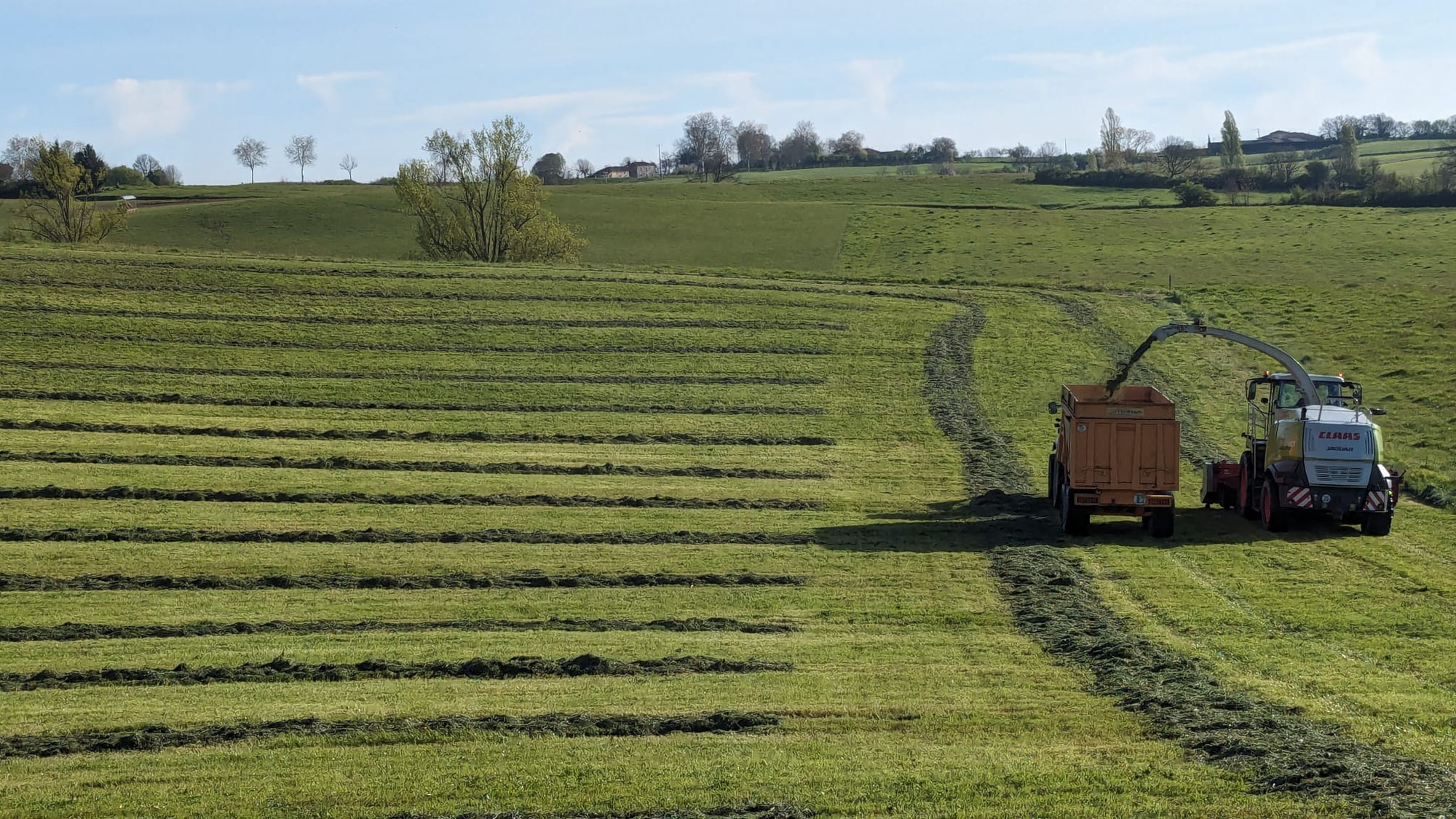 L'ensilage