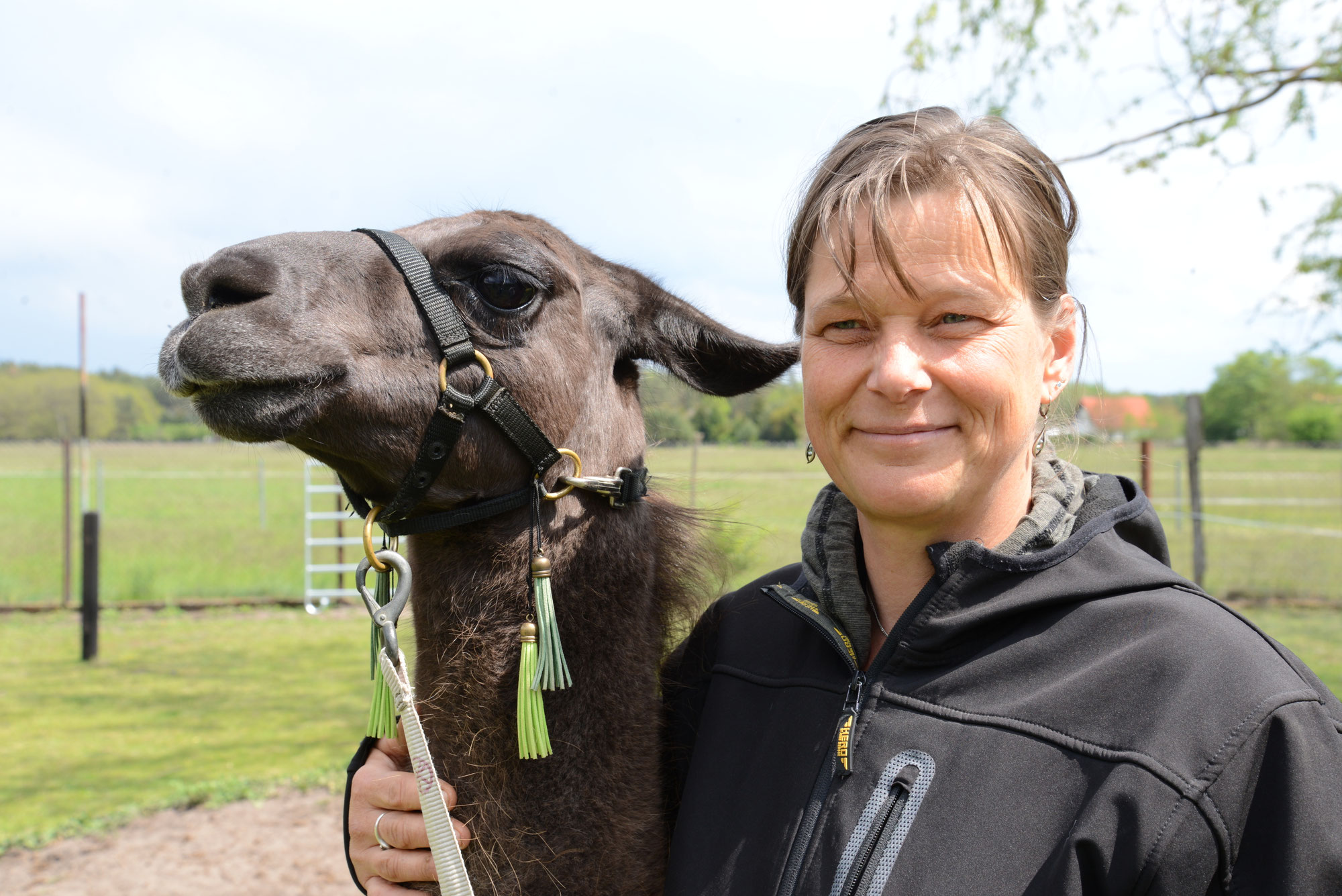 Wir feiern 7 Jahre WanderLamas