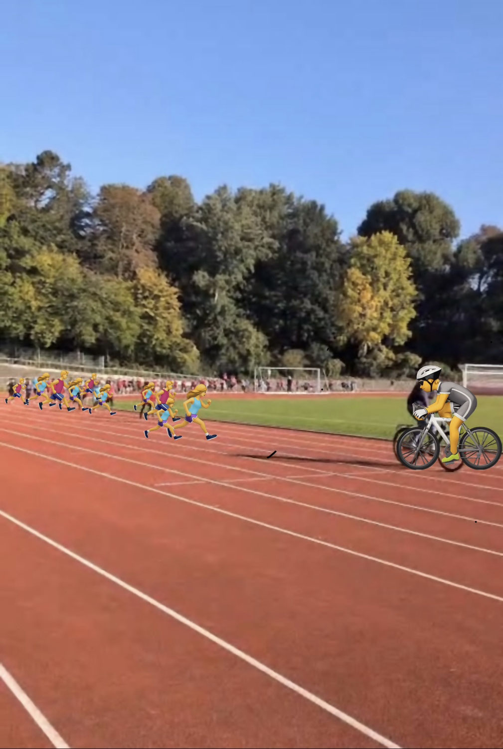 Crosslauf 2025