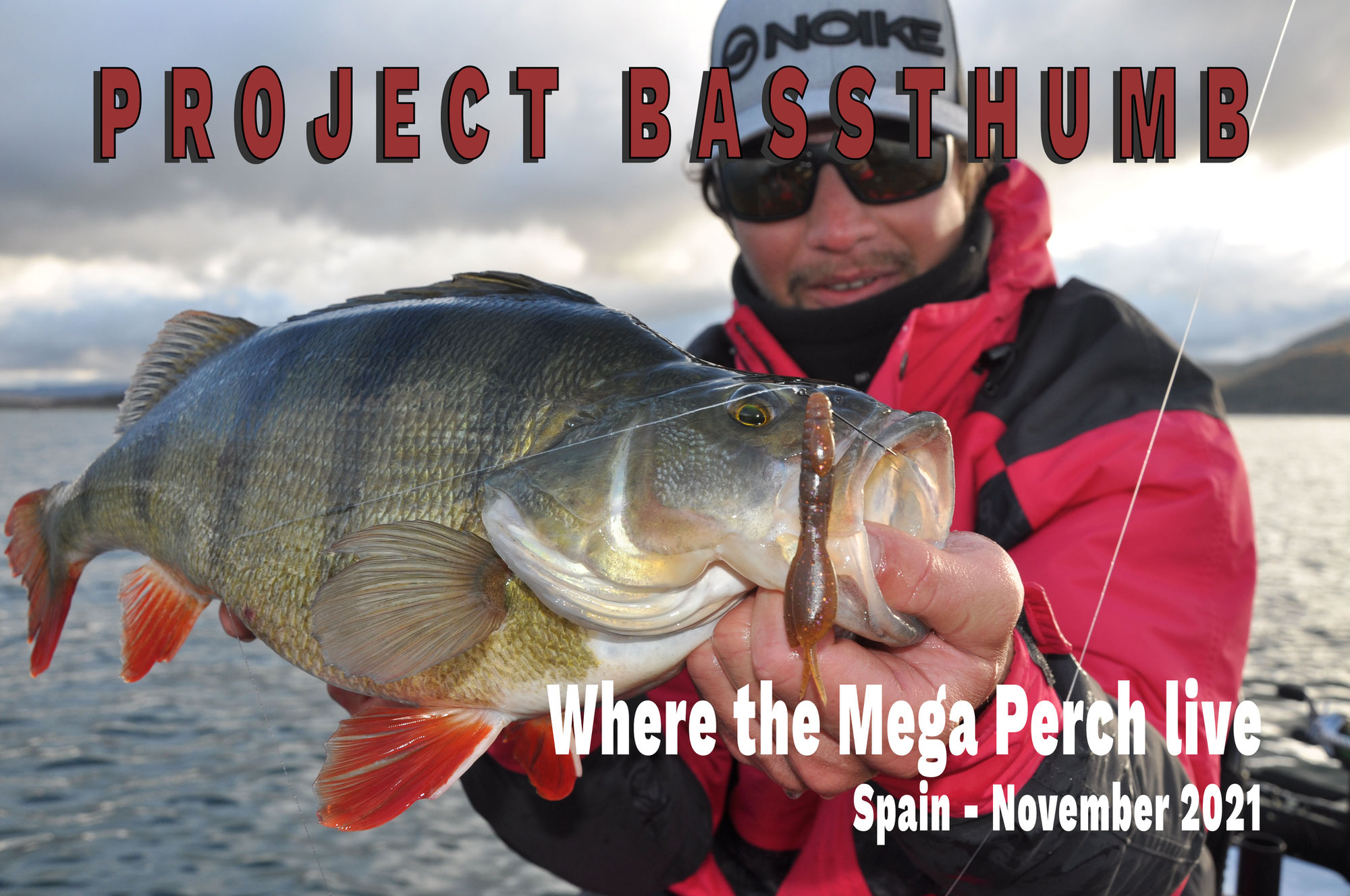 Where the Mega Perch live - Spain 2021