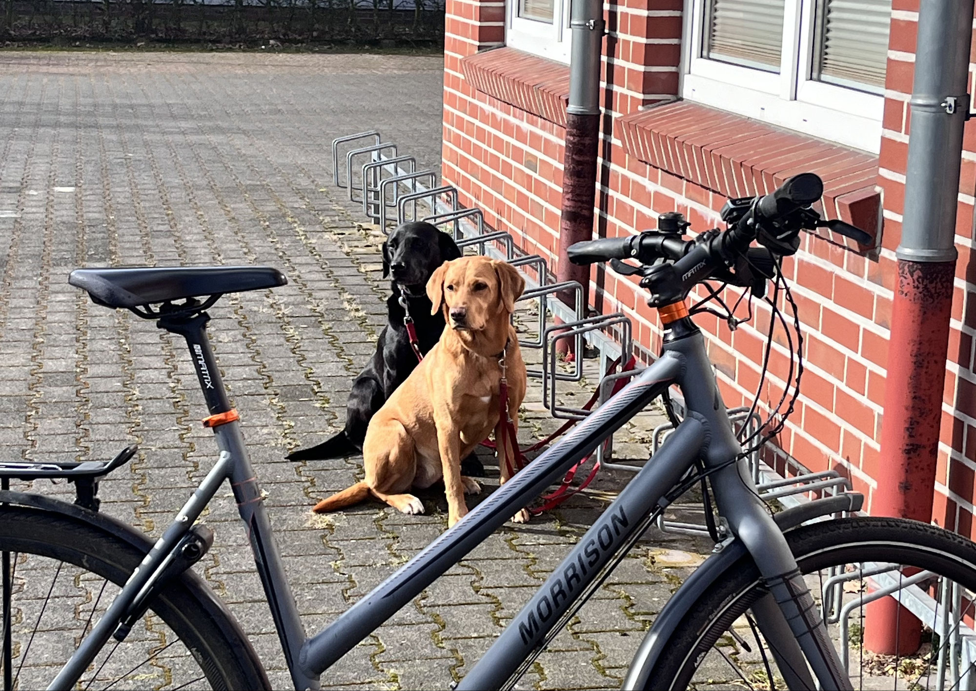 The beginning - Anouk ist läufig
