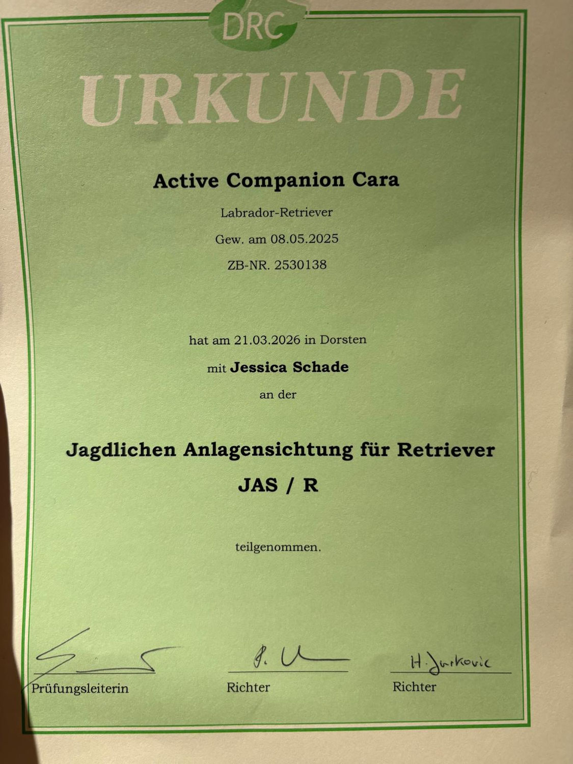 Active Companion Cara nimmt an der JAS, der Jagdlichen Anlagensichtung teil - mit Erfolg!
