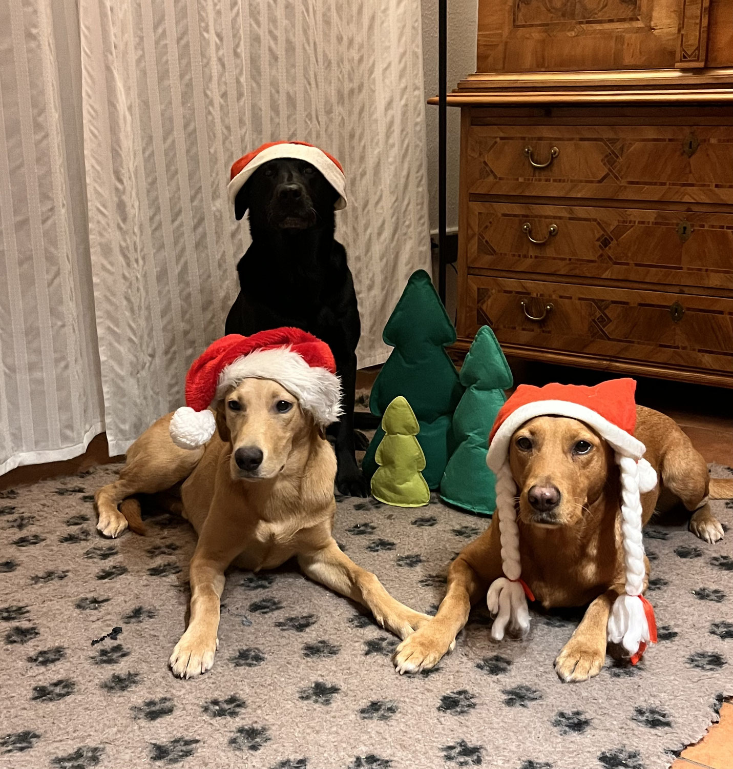 Frohe Weihnachten und ein gutes Neues Jahr