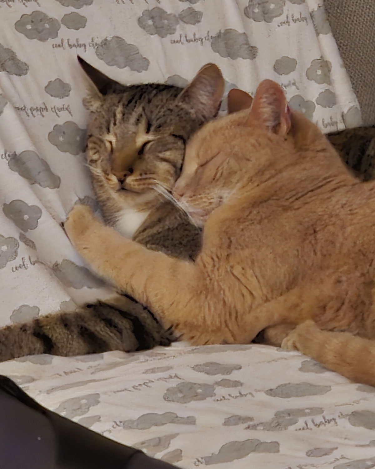 Jenny & Willi