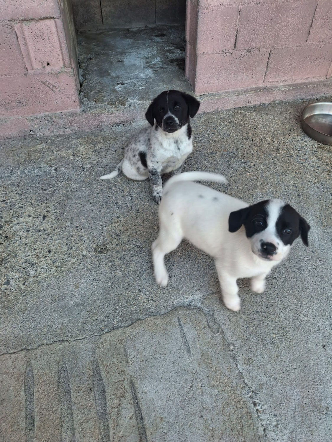 Lia & Buddy