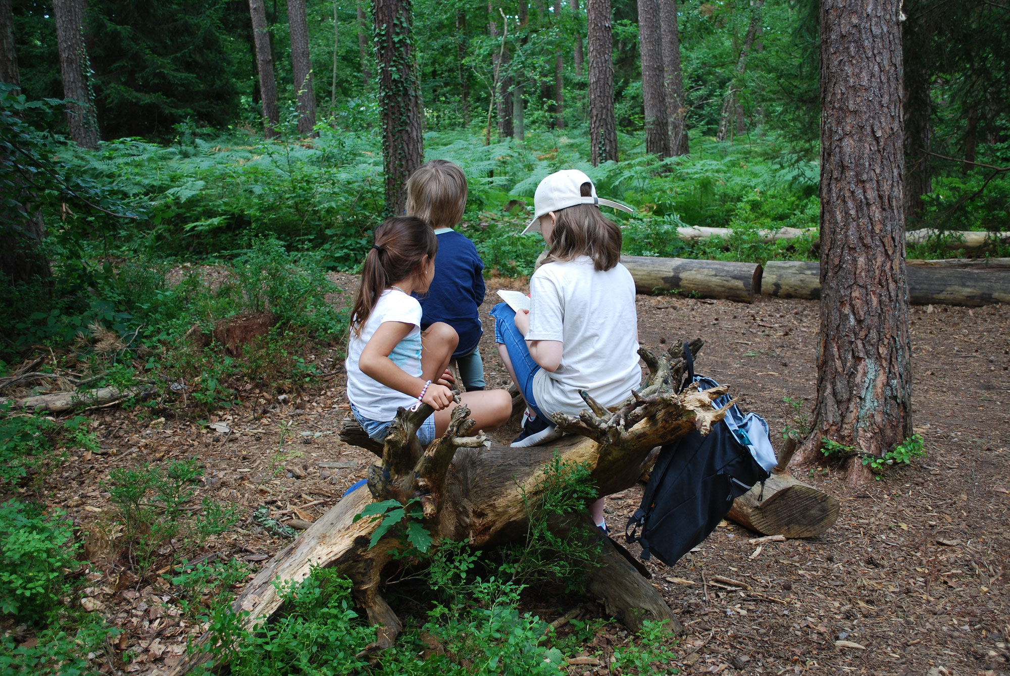 Vorleseaktion der Klasse 2a im Waldkindergarten