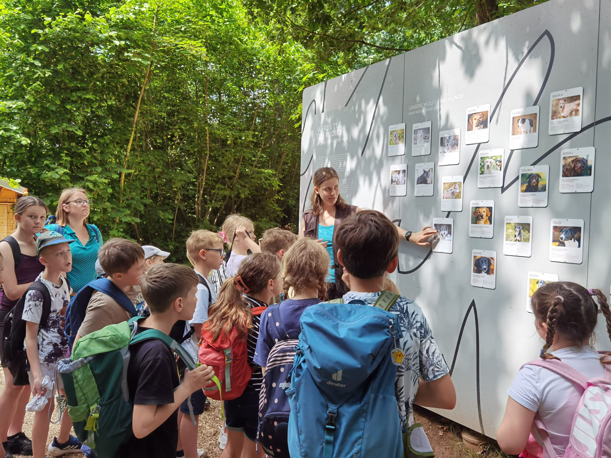 Ausflug in den Wildpark Ernstbrunn