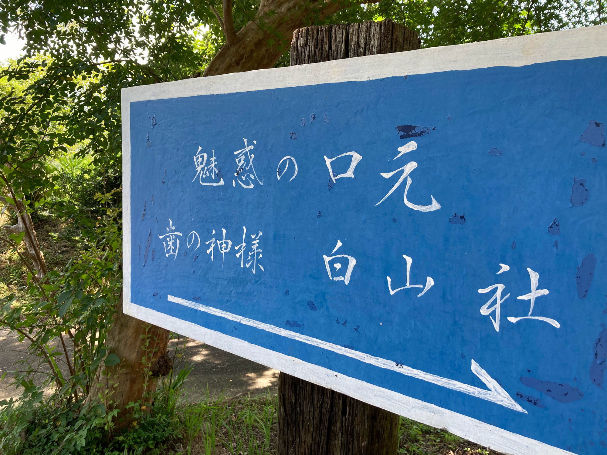 緑の中継点