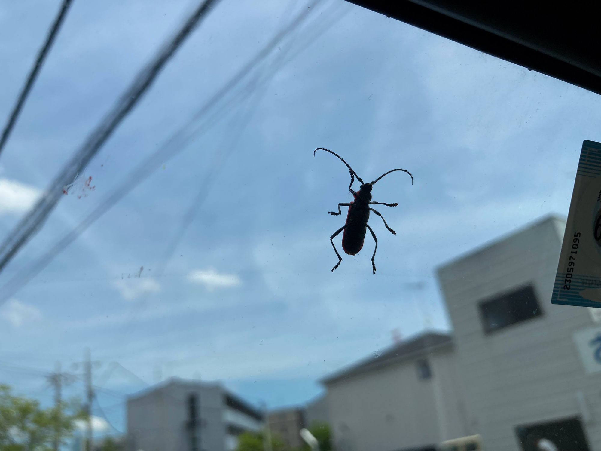 真面目で重大な話