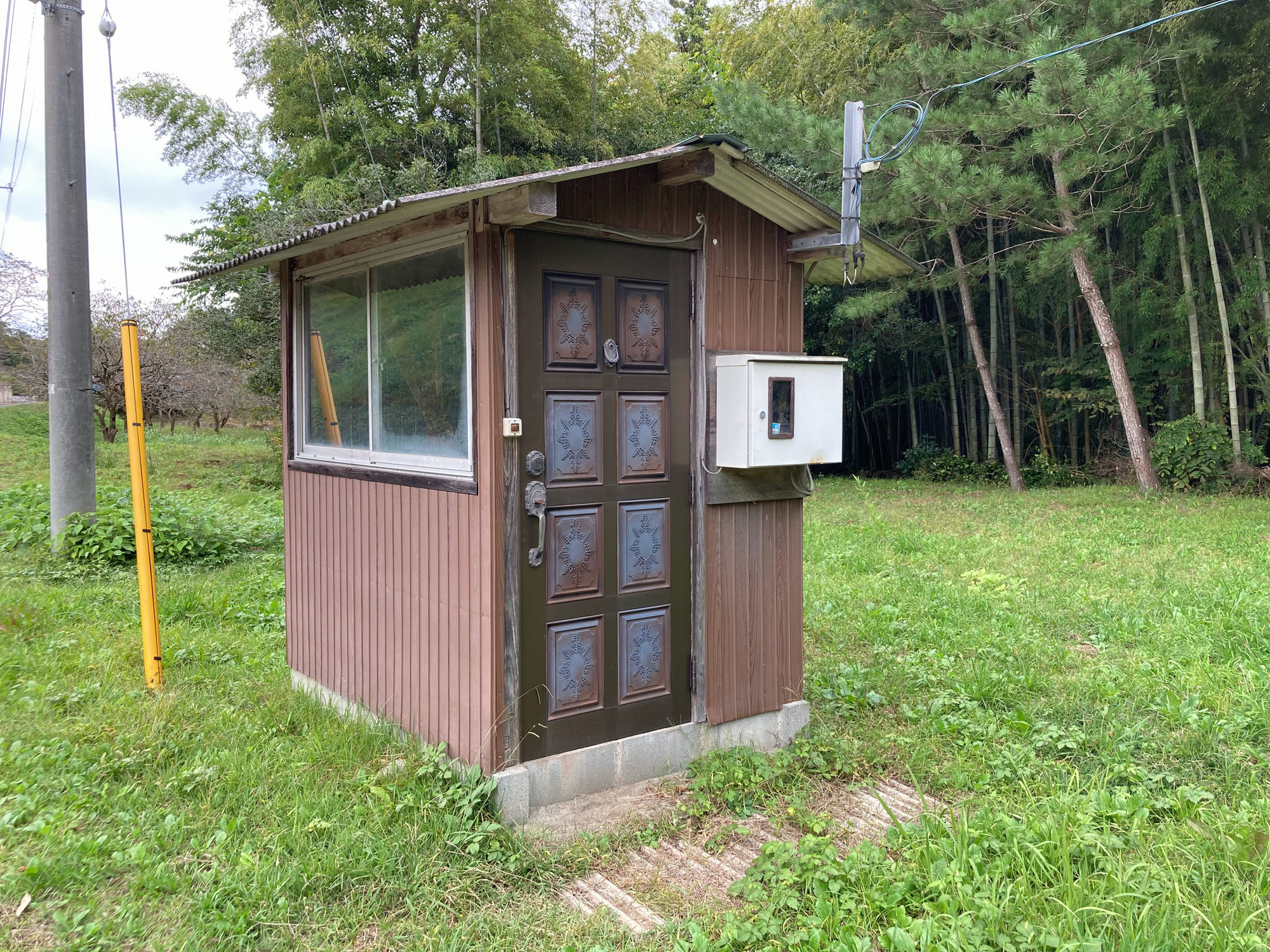 筑波鳥兜と完璧な小屋