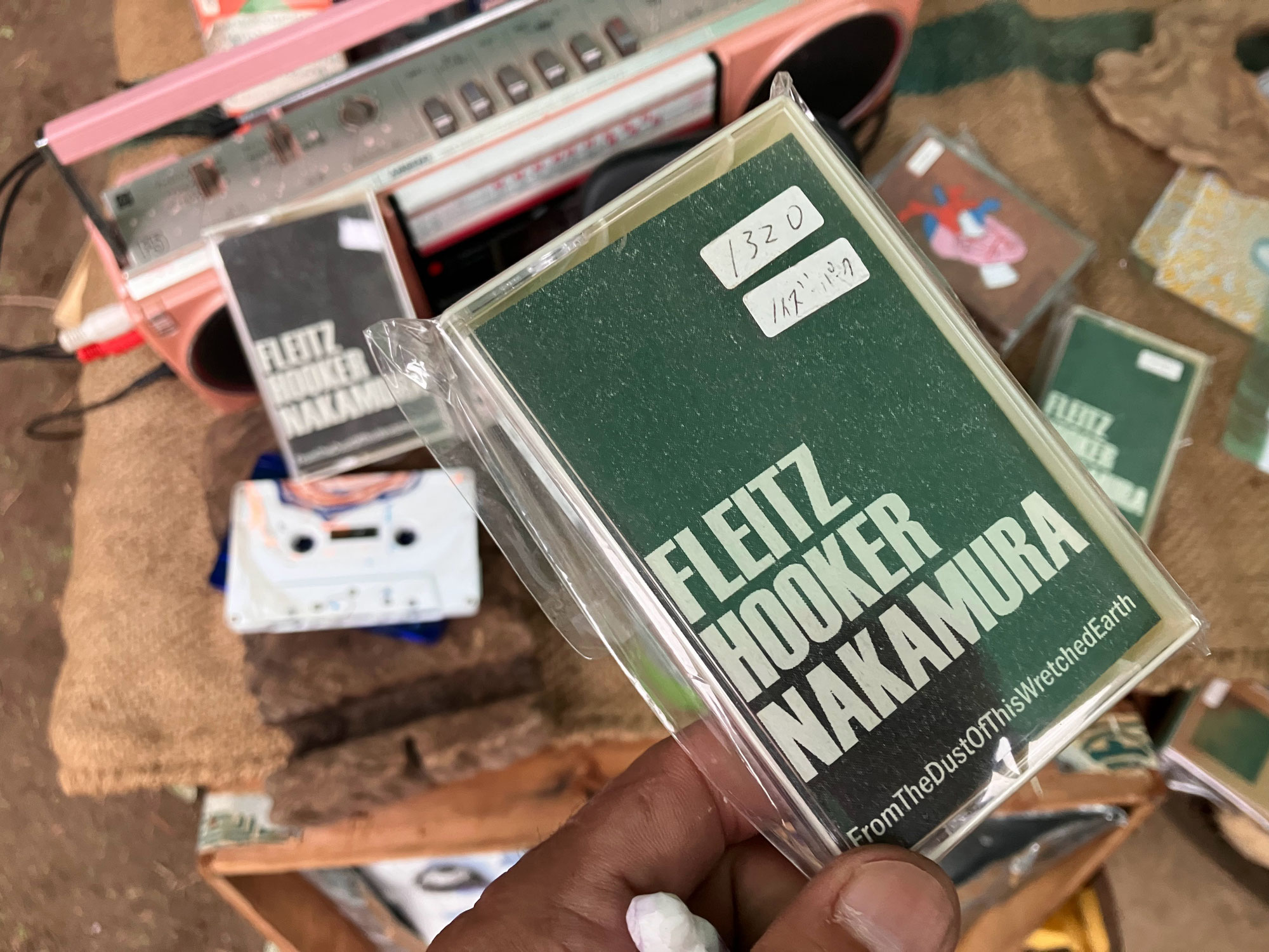 ヤブニッケイを採取し忘れた