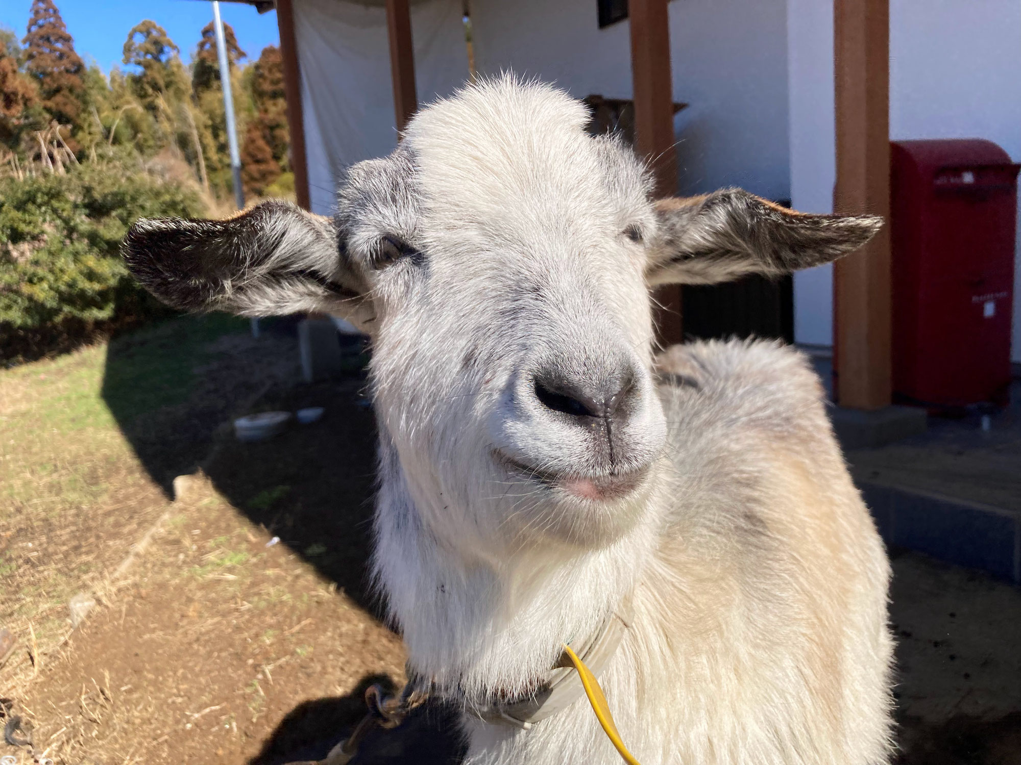 山に見る法則