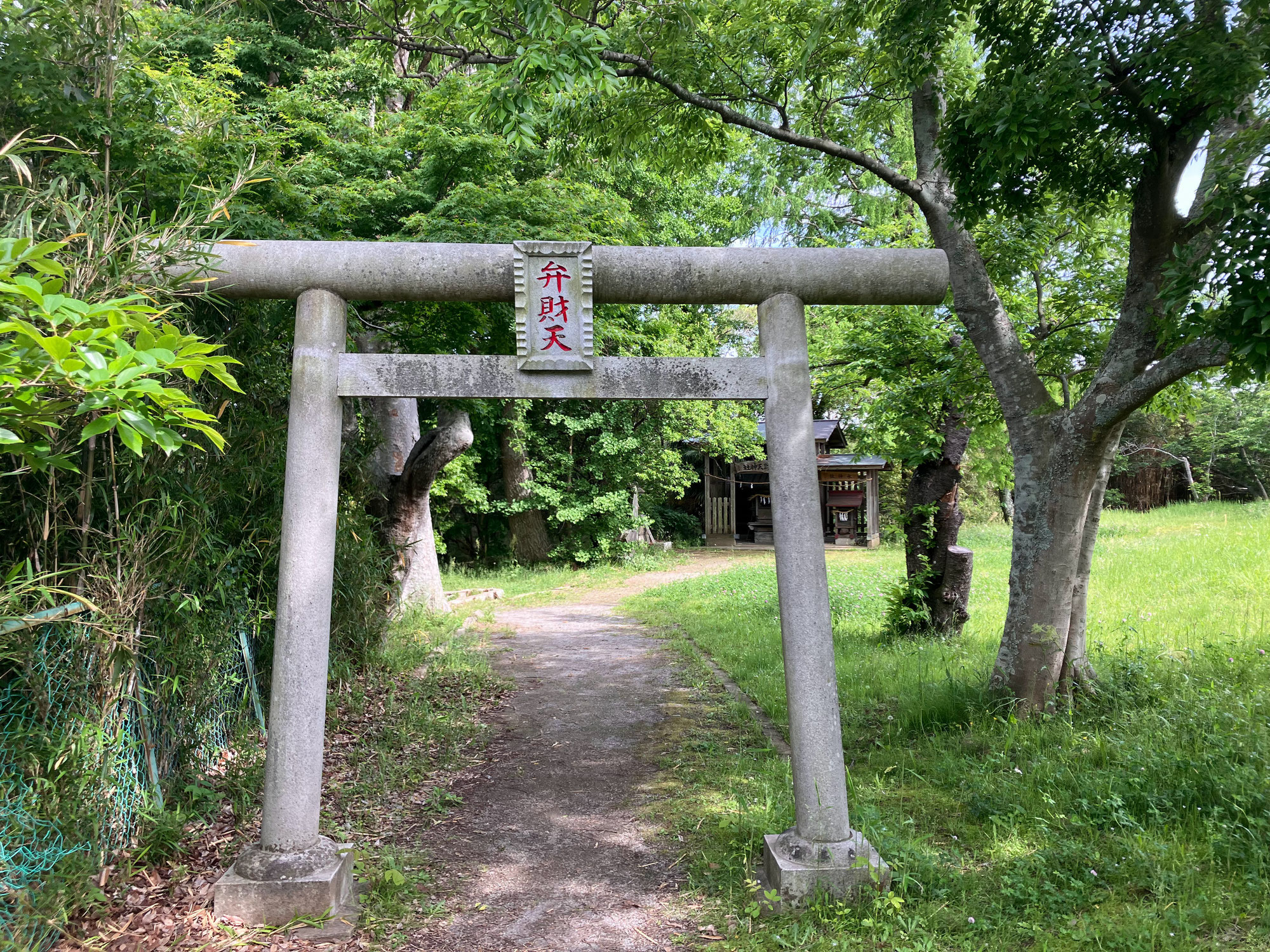 まずコーラ