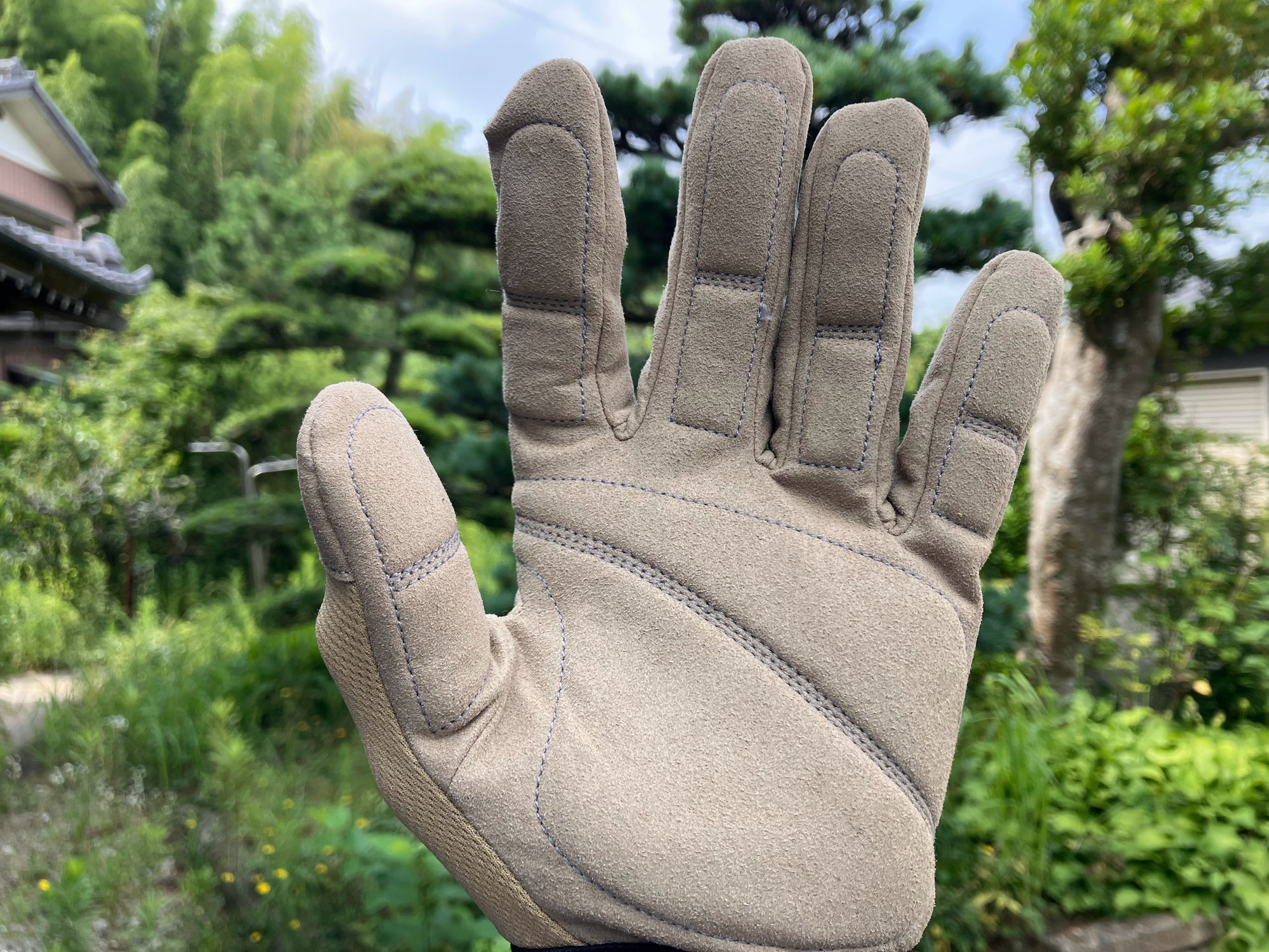 サンキュー