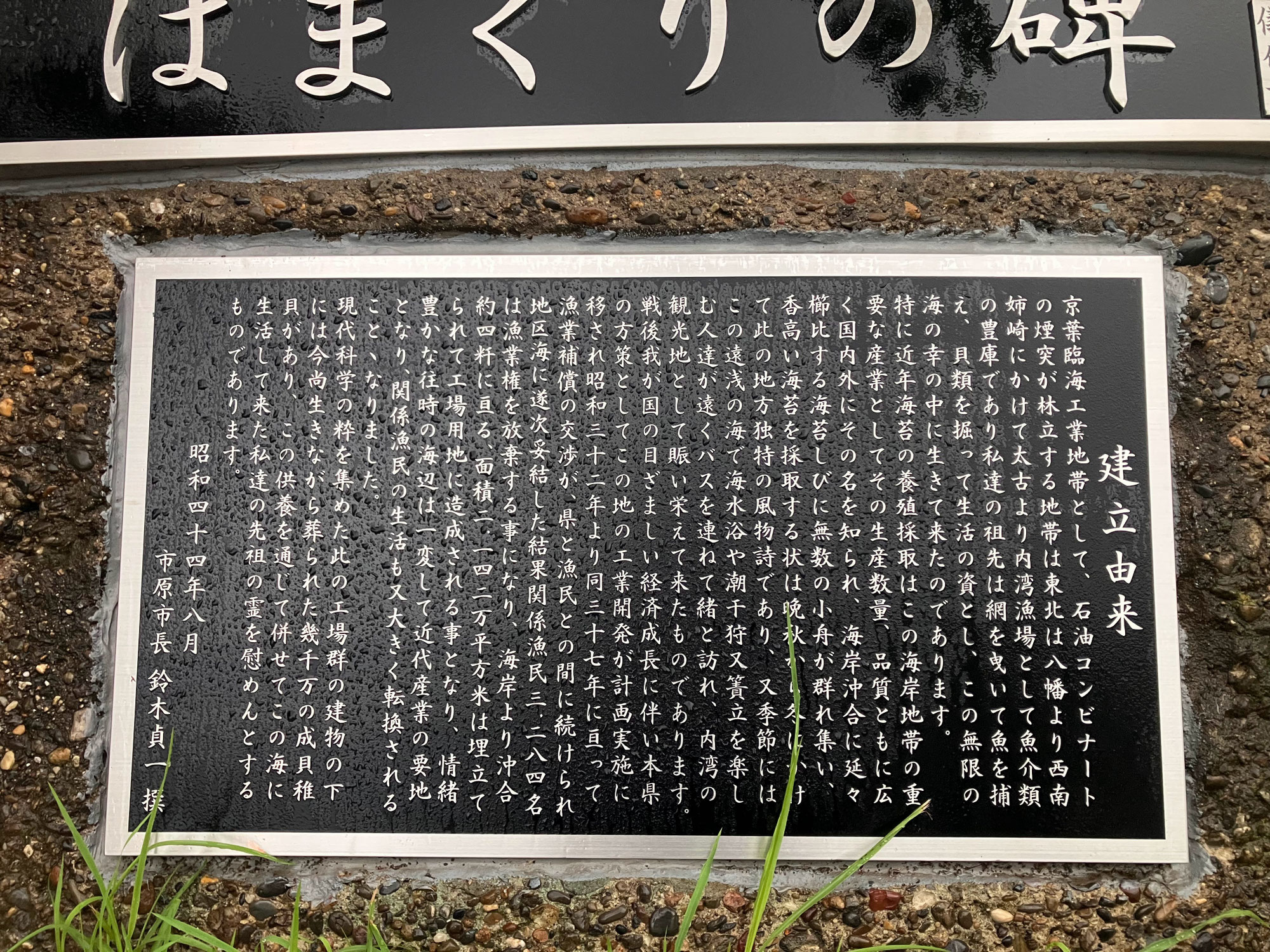 台風一過