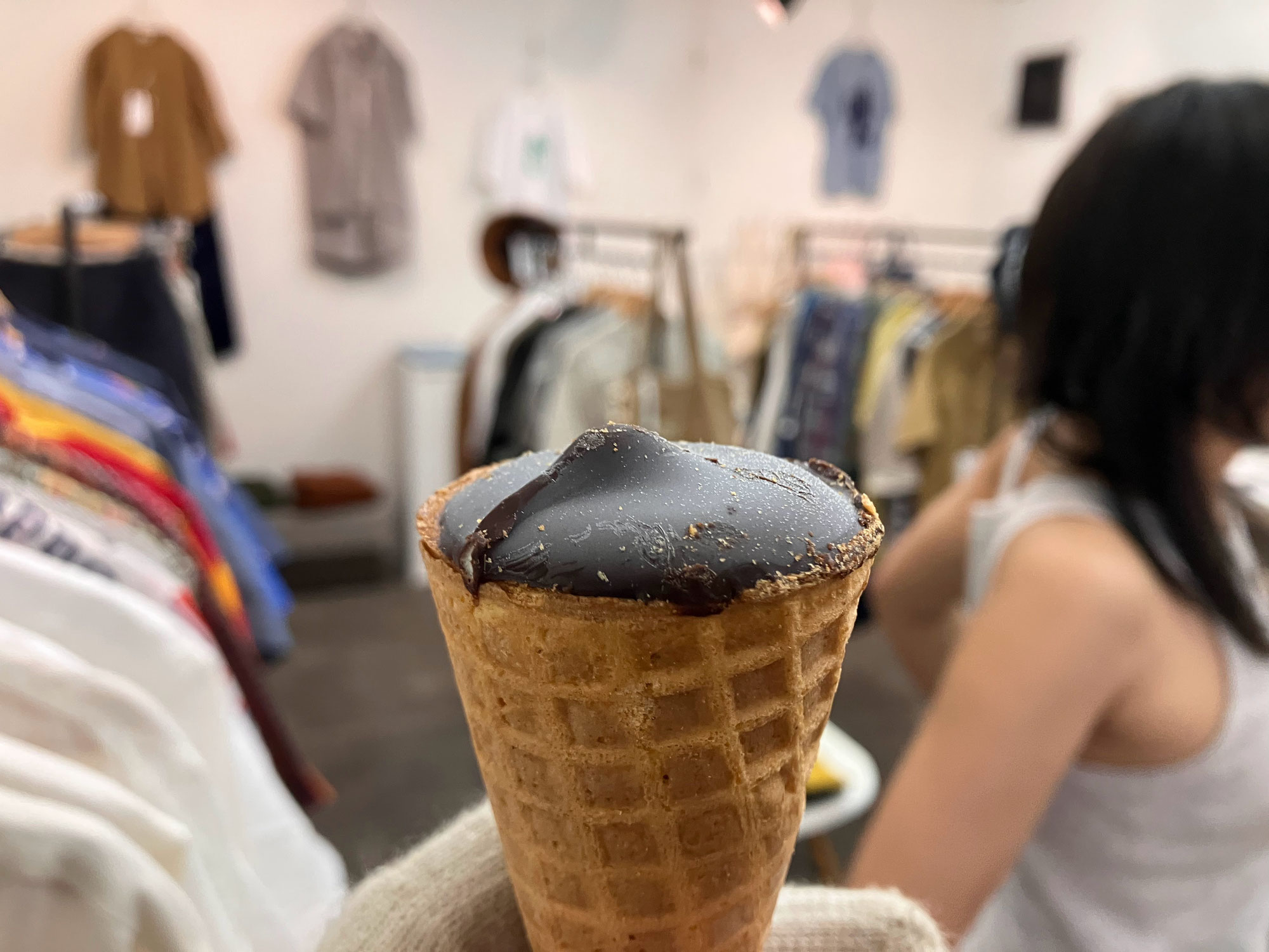 浜にイカ