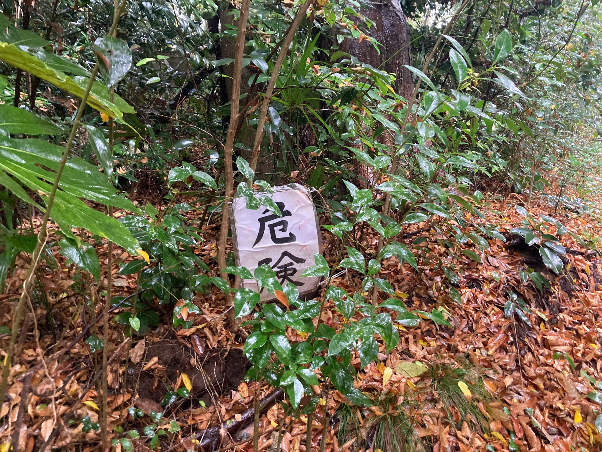 飛庄と危険な道